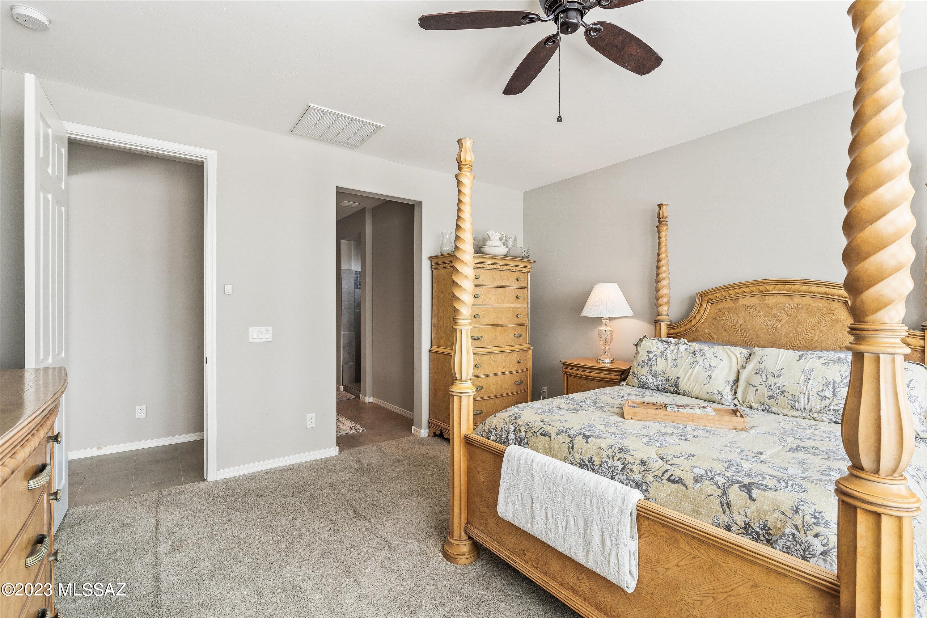 11905 North Raphael Way Marana, AZ 85742 - Photo 19 of 37 21-Primary Bedroom
