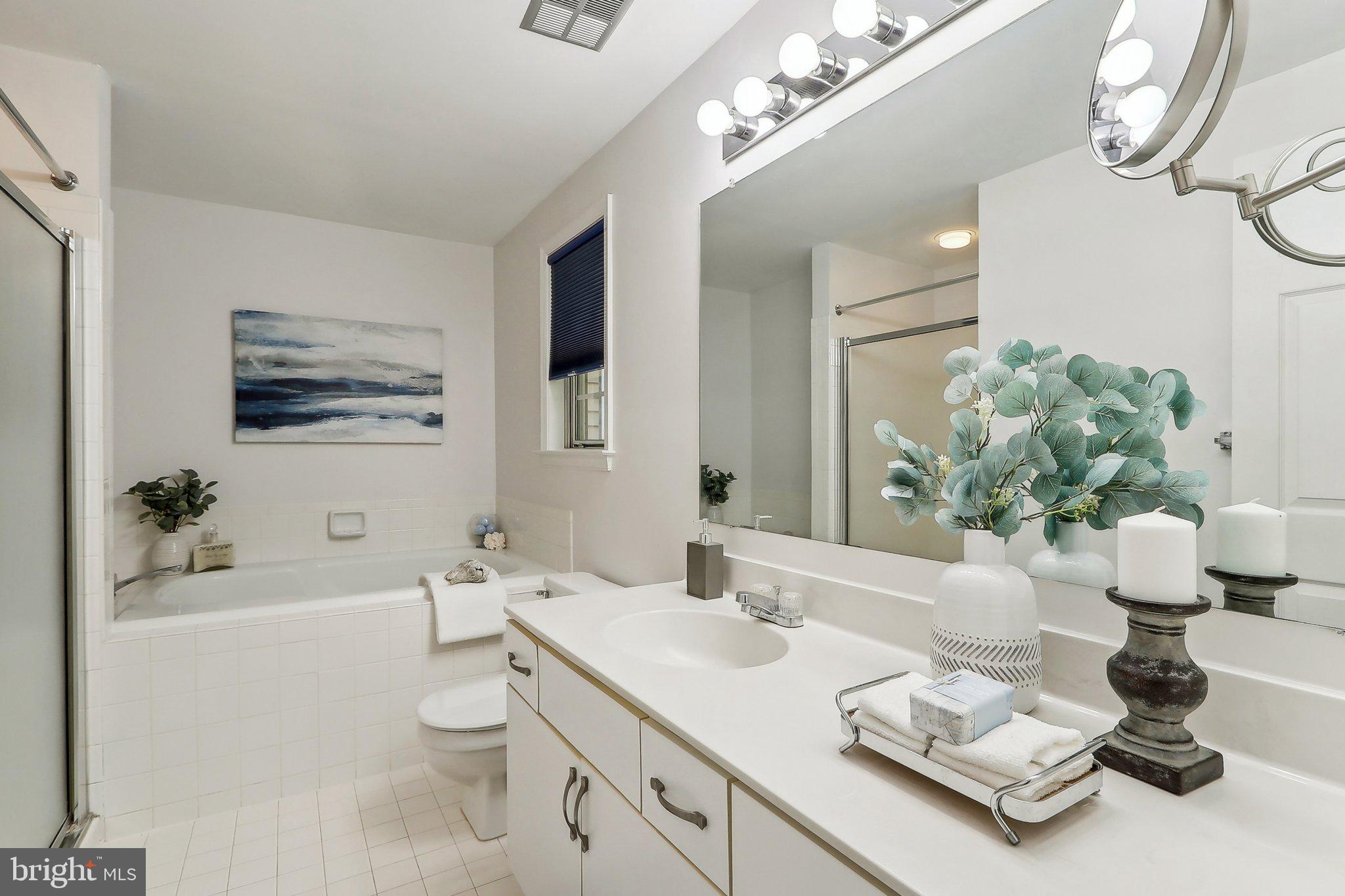 11751 Arbor Glen Way Reston, VA 20194 - Photo 10 of 18 Primary Bath, separate shower, soaking tub