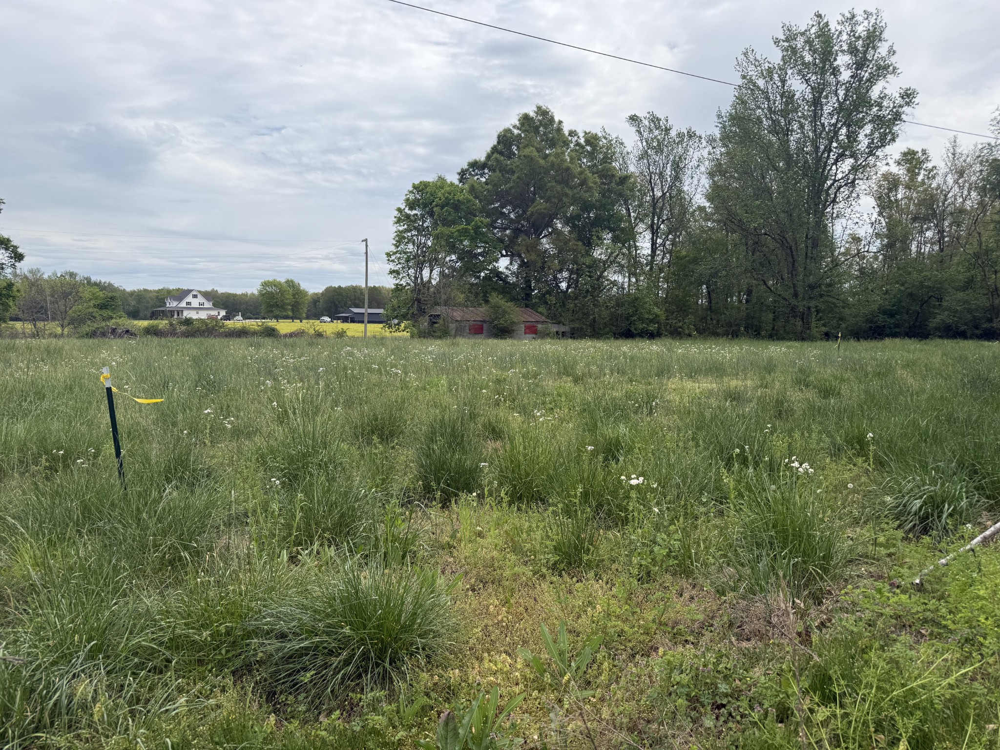 1459 Pete Sain Road Manchester, TN 37355 - Photo 26 of 41