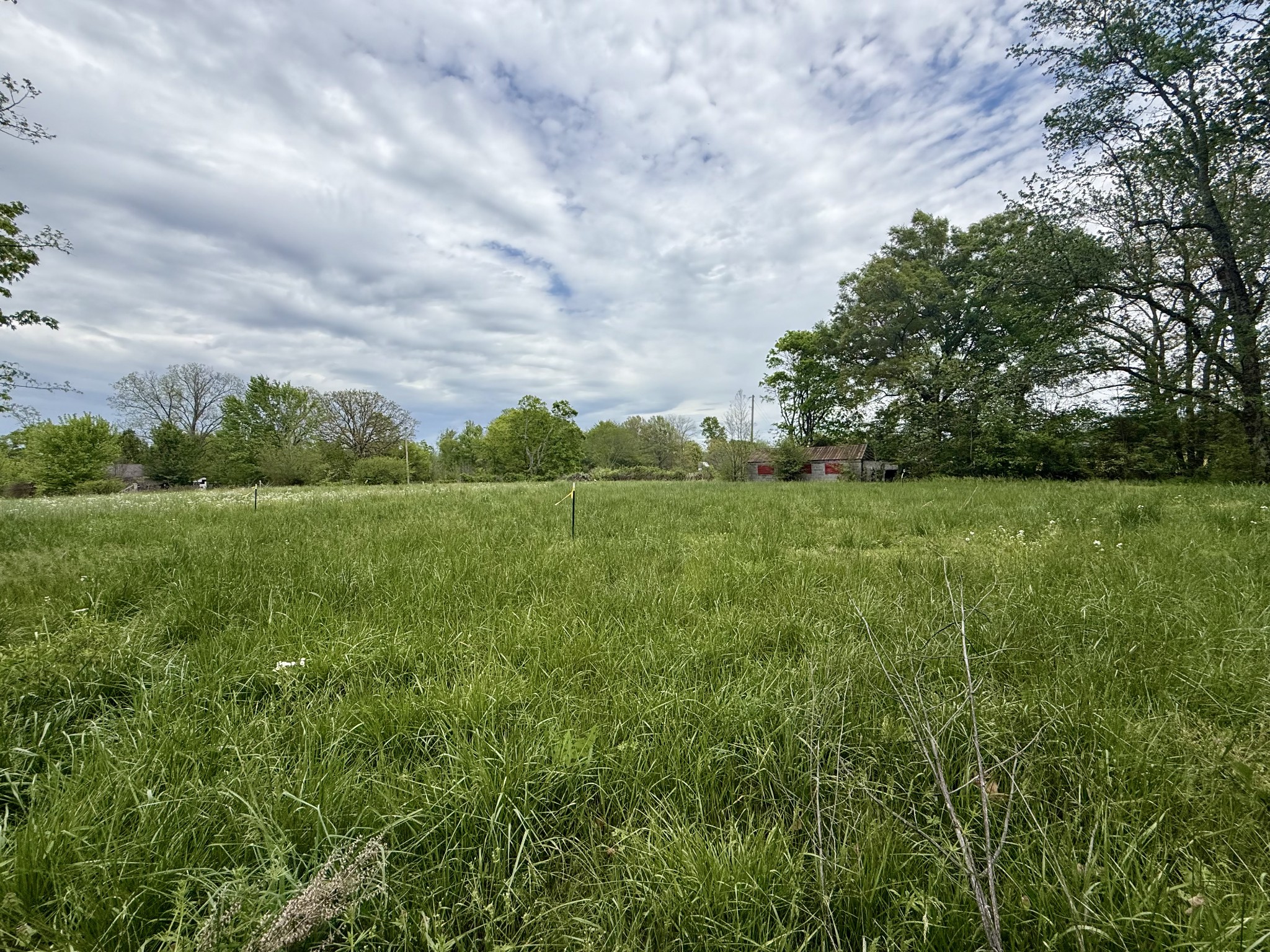 1459 Pete Sain Road Manchester, TN 37355 - Photo 29 of 41