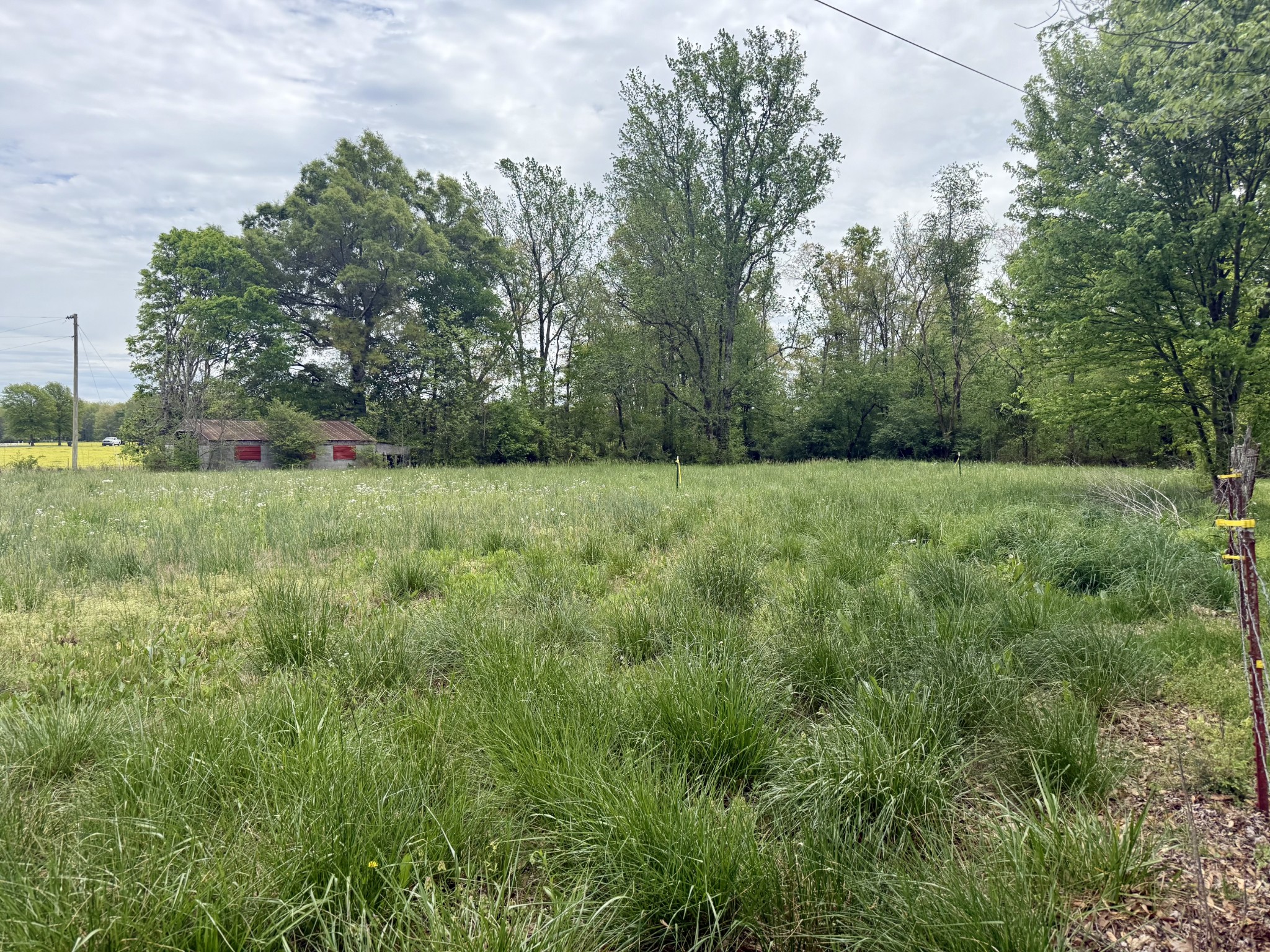 1459 Pete Sain Road Manchester, TN 37355 - Photo 30 of 41