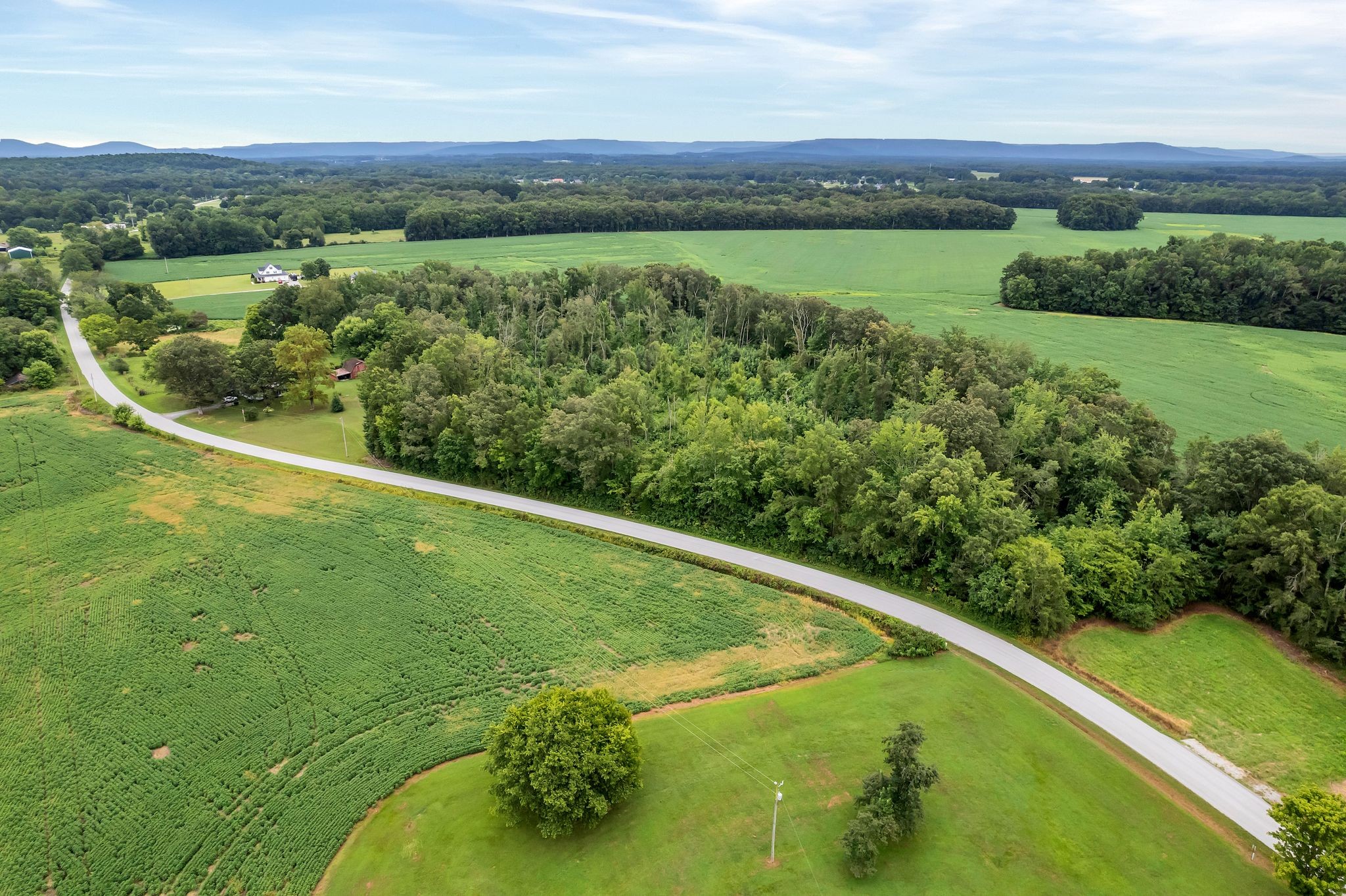 1459 Pete Sain Road Manchester, TN 37355 - Photo 34 of 41