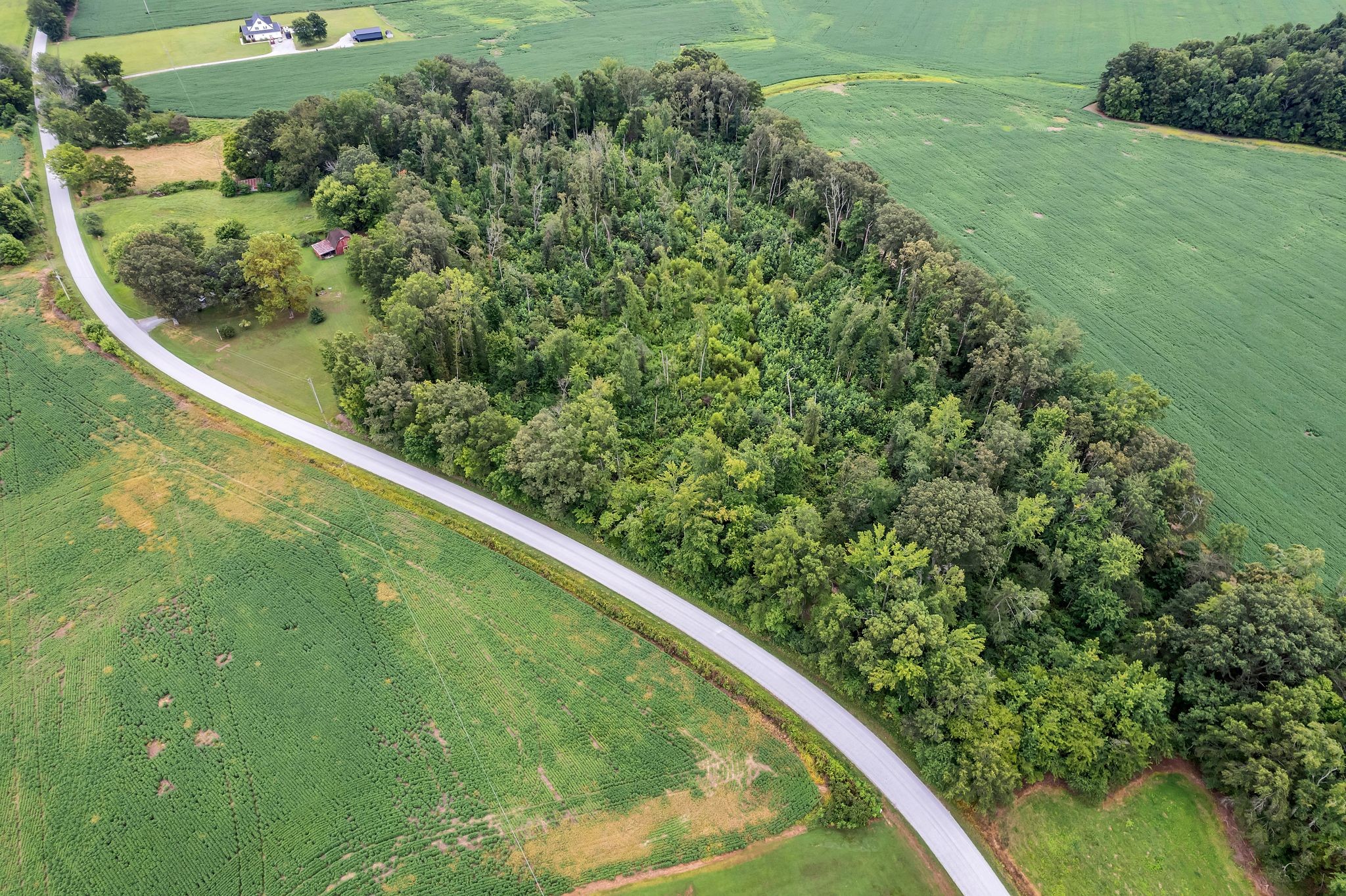 1459 Pete Sain Road Manchester, TN 37355 - Photo 38 of 41