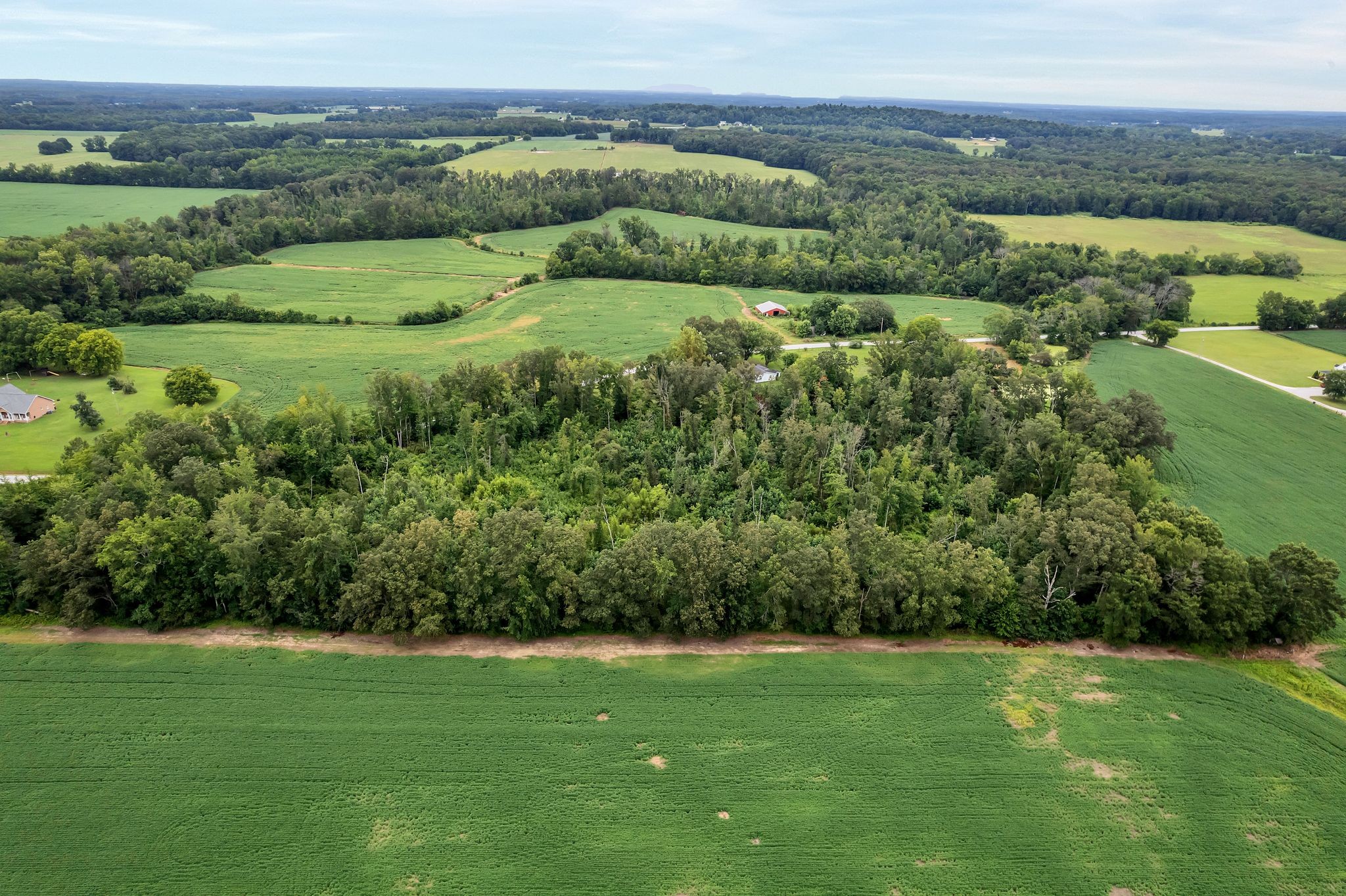 1459 Pete Sain Road Manchester, TN 37355 - Photo 41 of 41