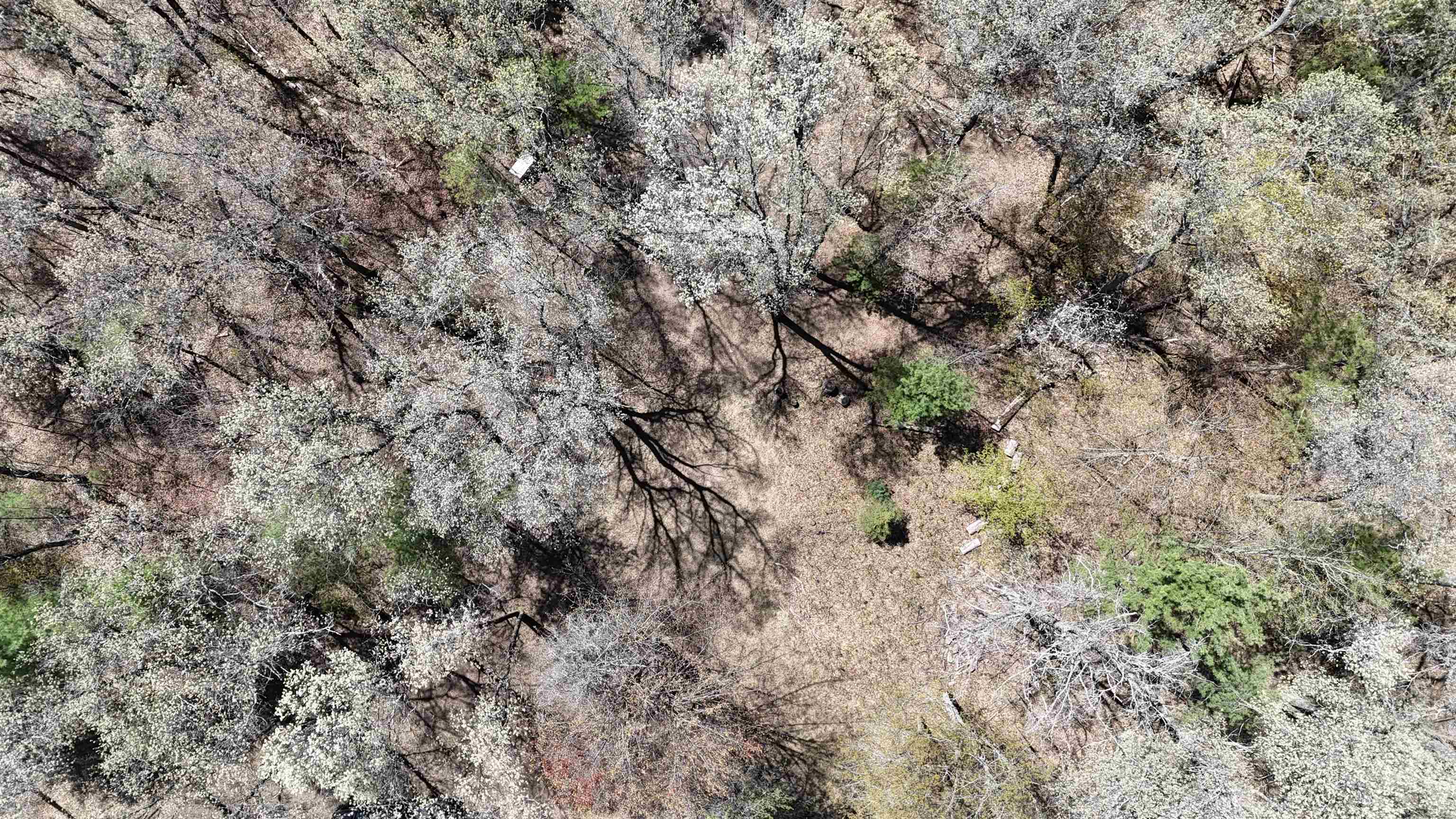 N1543 Spirit Ridge Road, Unit 44 Keshena, WI 54135 - Photo 2 of 12