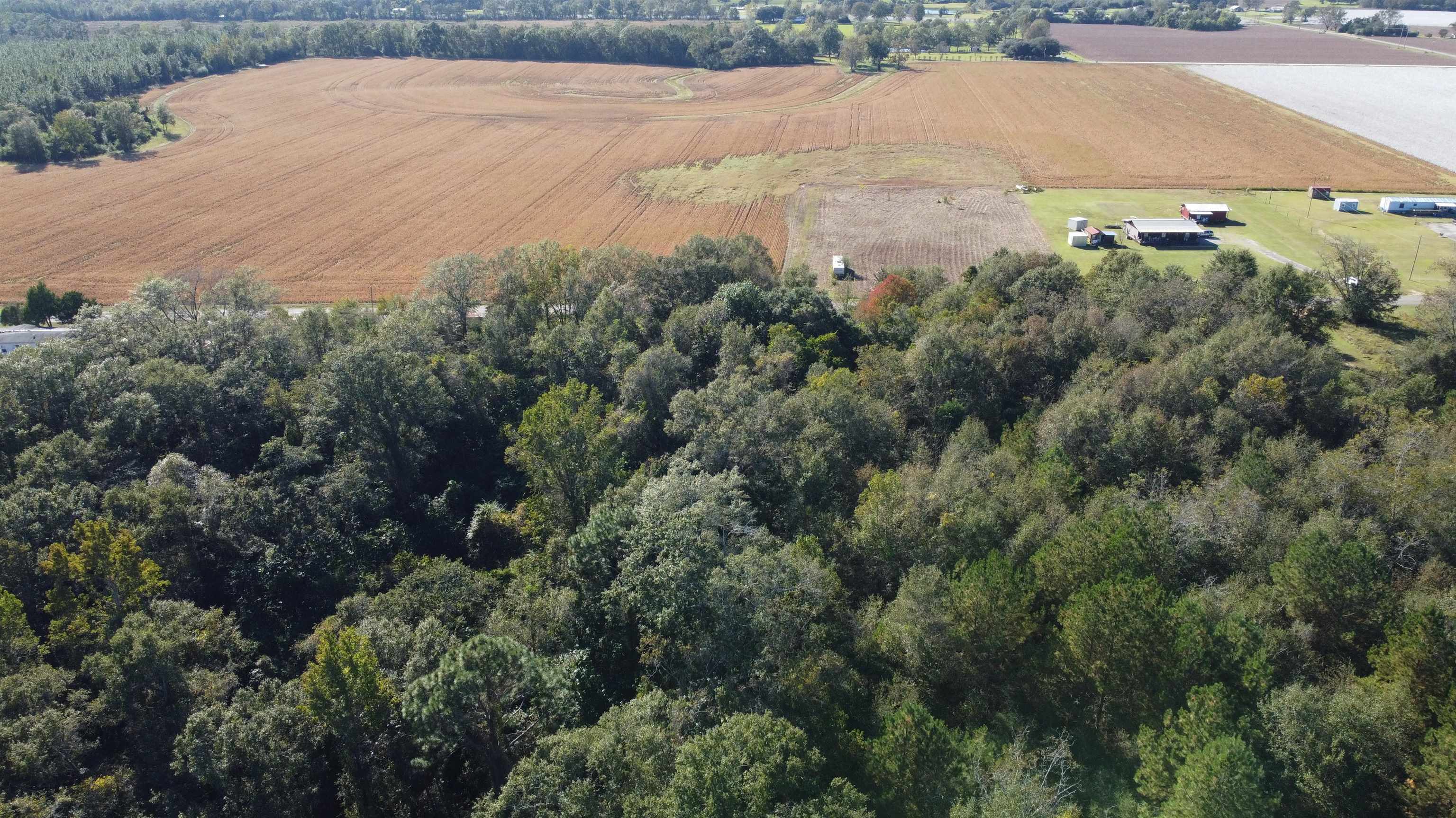 0 Cowpen Creek Road Atmore, AL 36502 - Photo 17 of 21