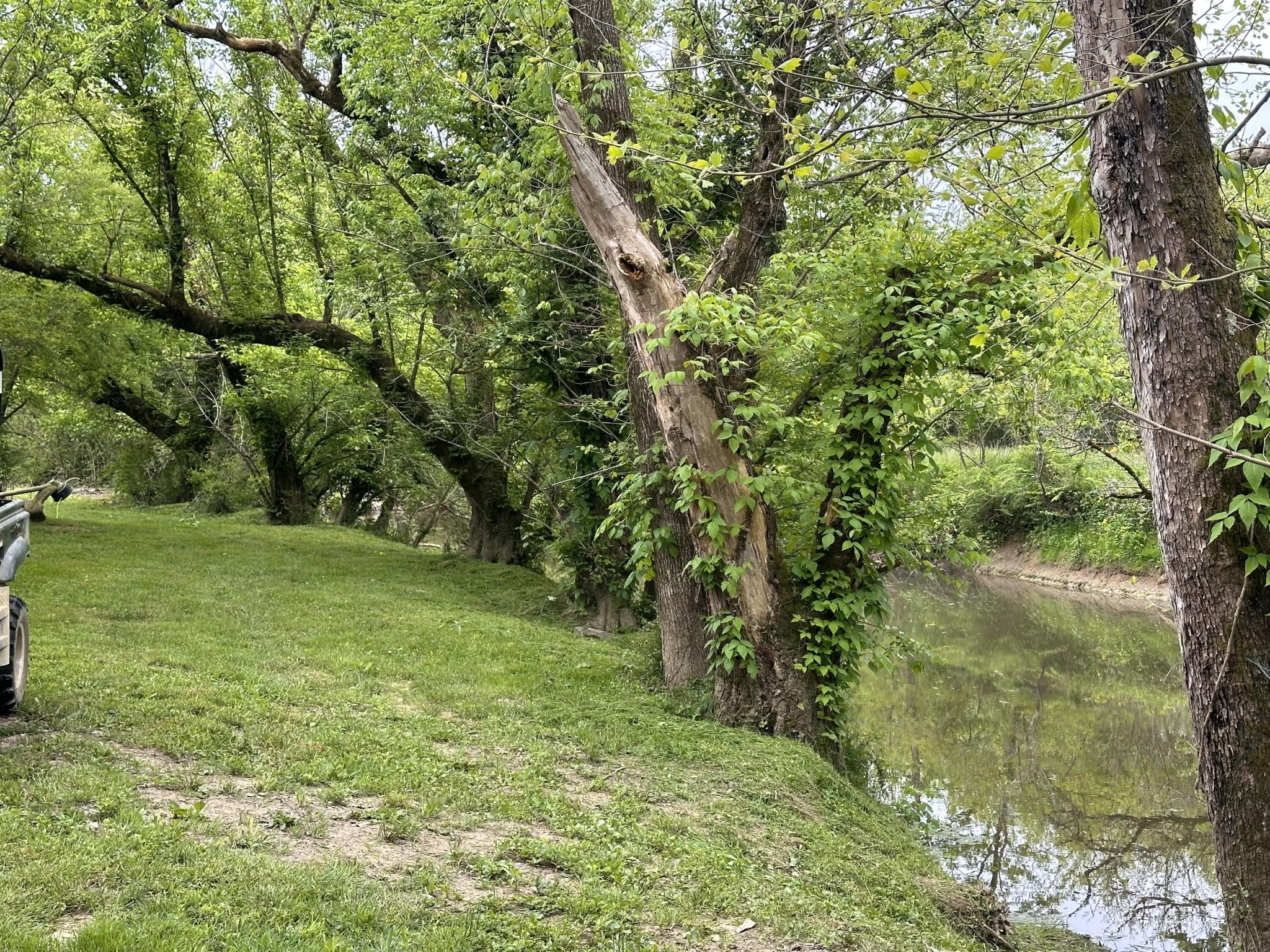 2750 Strawhill Road Southeast Cleveland, TN 37323 - Photo 42 of 43 Gallery Image 42