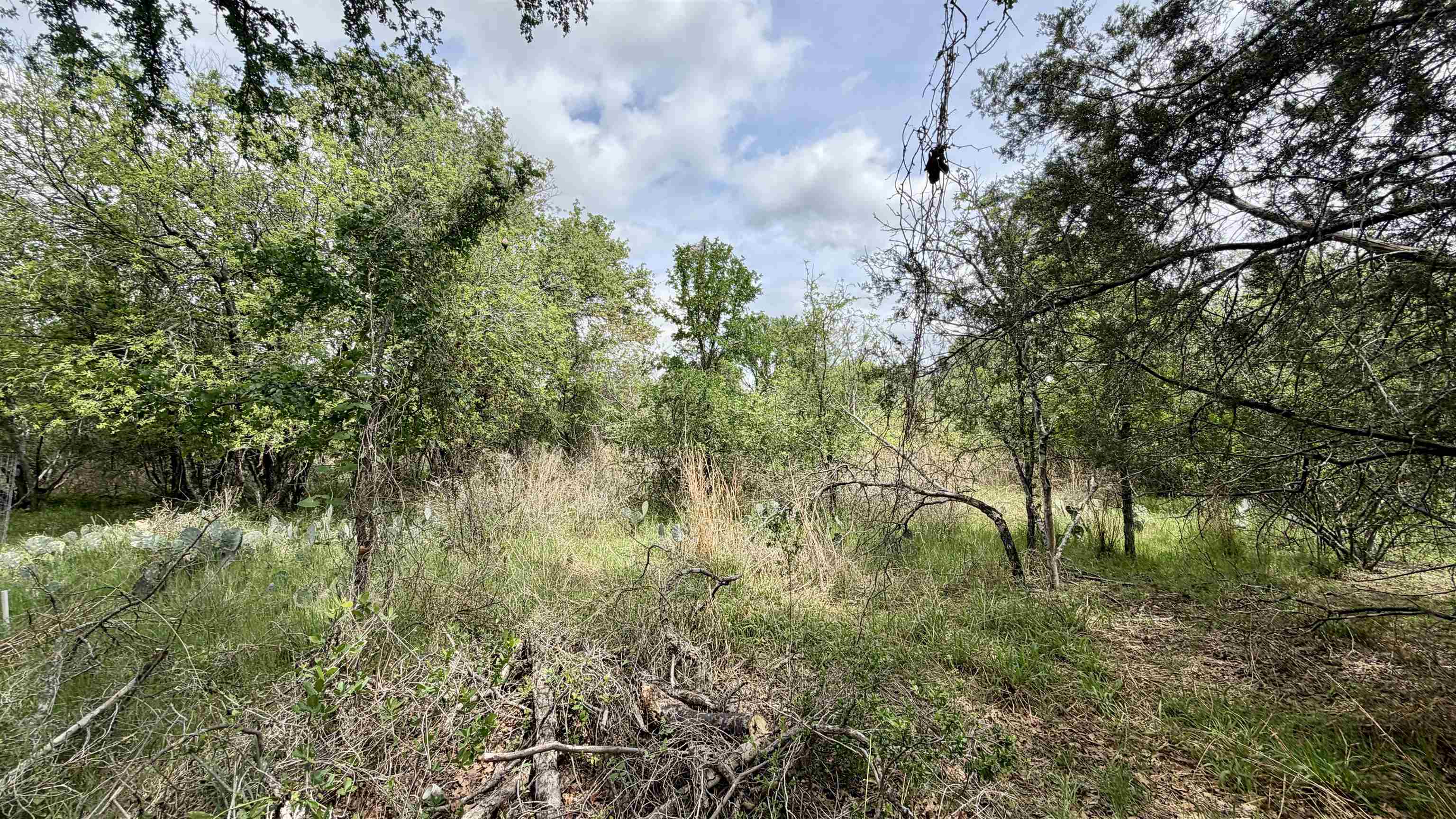 Lot 119-118 Ridgemont Kingsland, TX 78639 - Photo 11 of 29 a view of a yard with plants and a tree