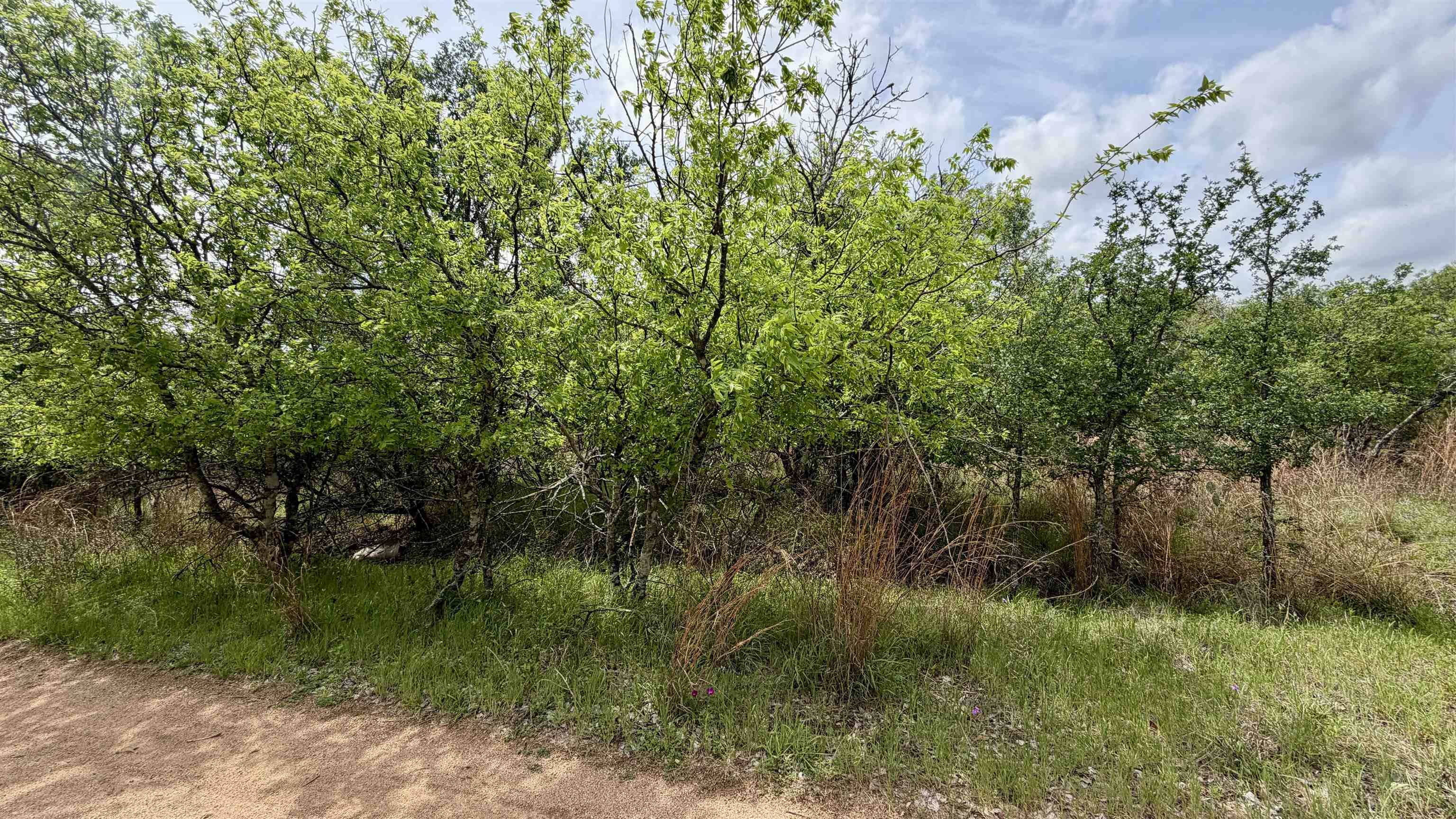 Lot 119-118 Ridgemont Kingsland, TX 78639 - Photo 12 of 29 a view of a garden