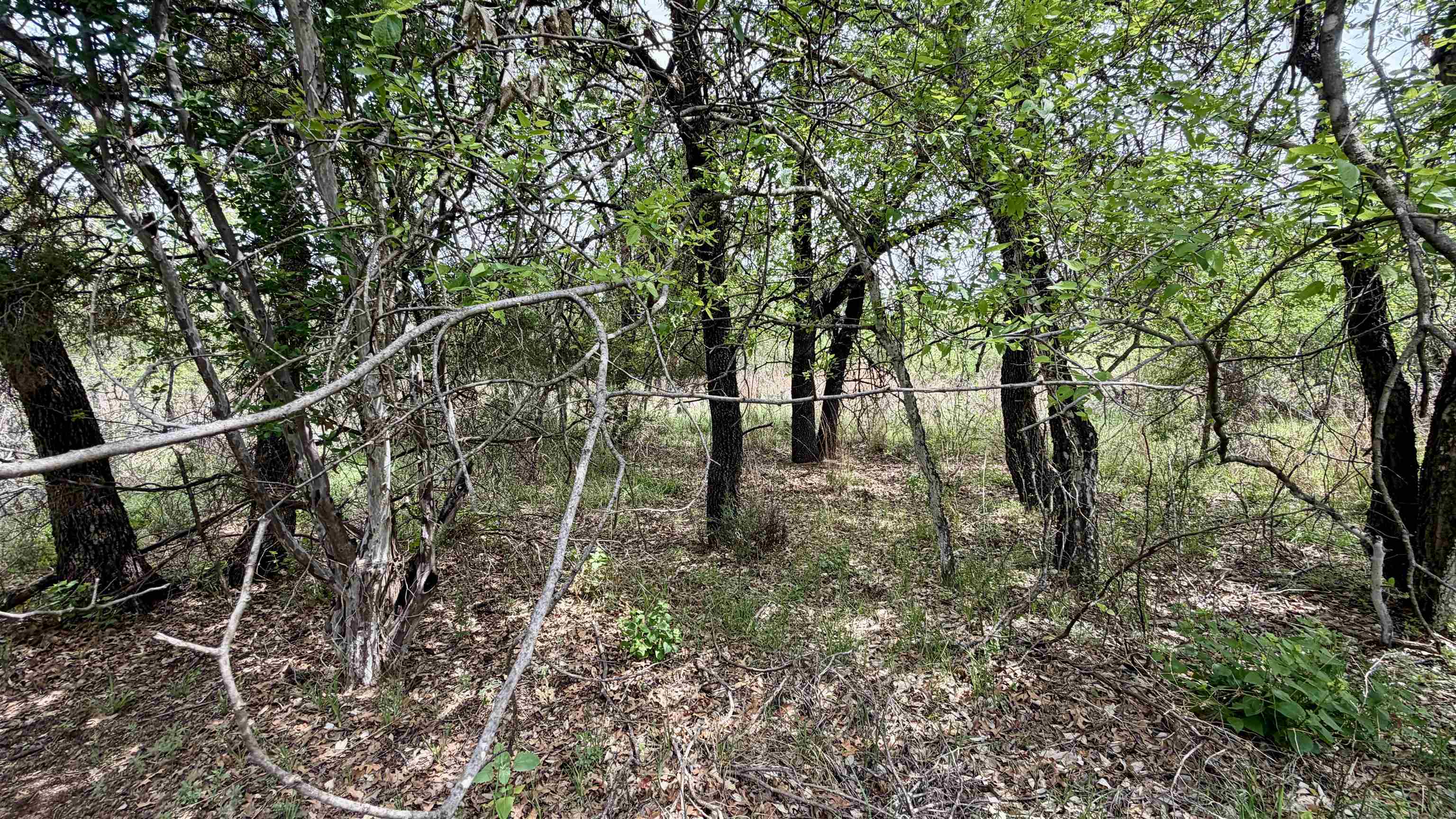 Lot 119-118 Ridgemont Kingsland, TX 78639 - Photo 14 of 29 a backyard of a house with lots of green space