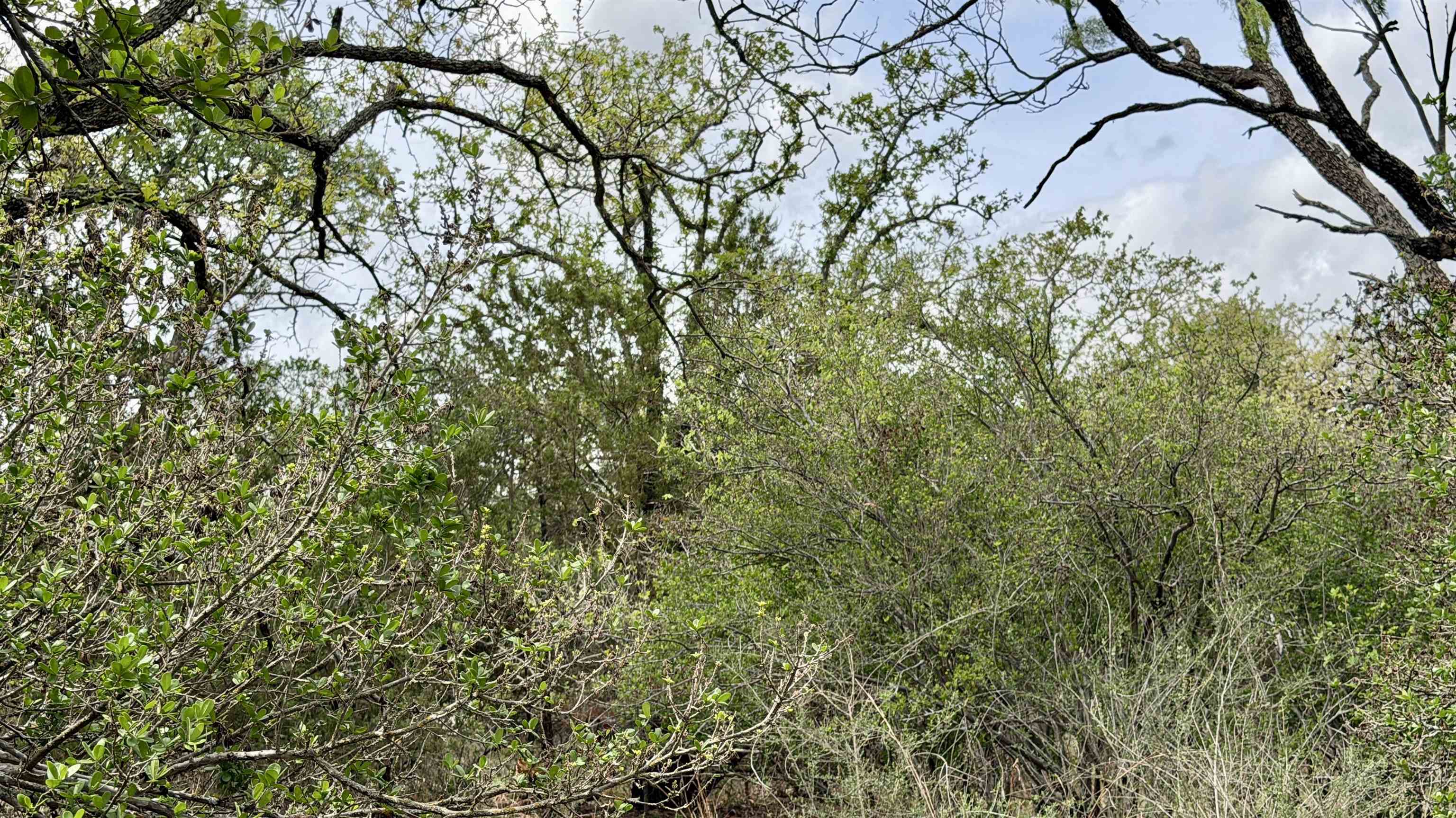Lot 119-118 Ridgemont Kingsland, TX 78639 - Photo 16 of 29