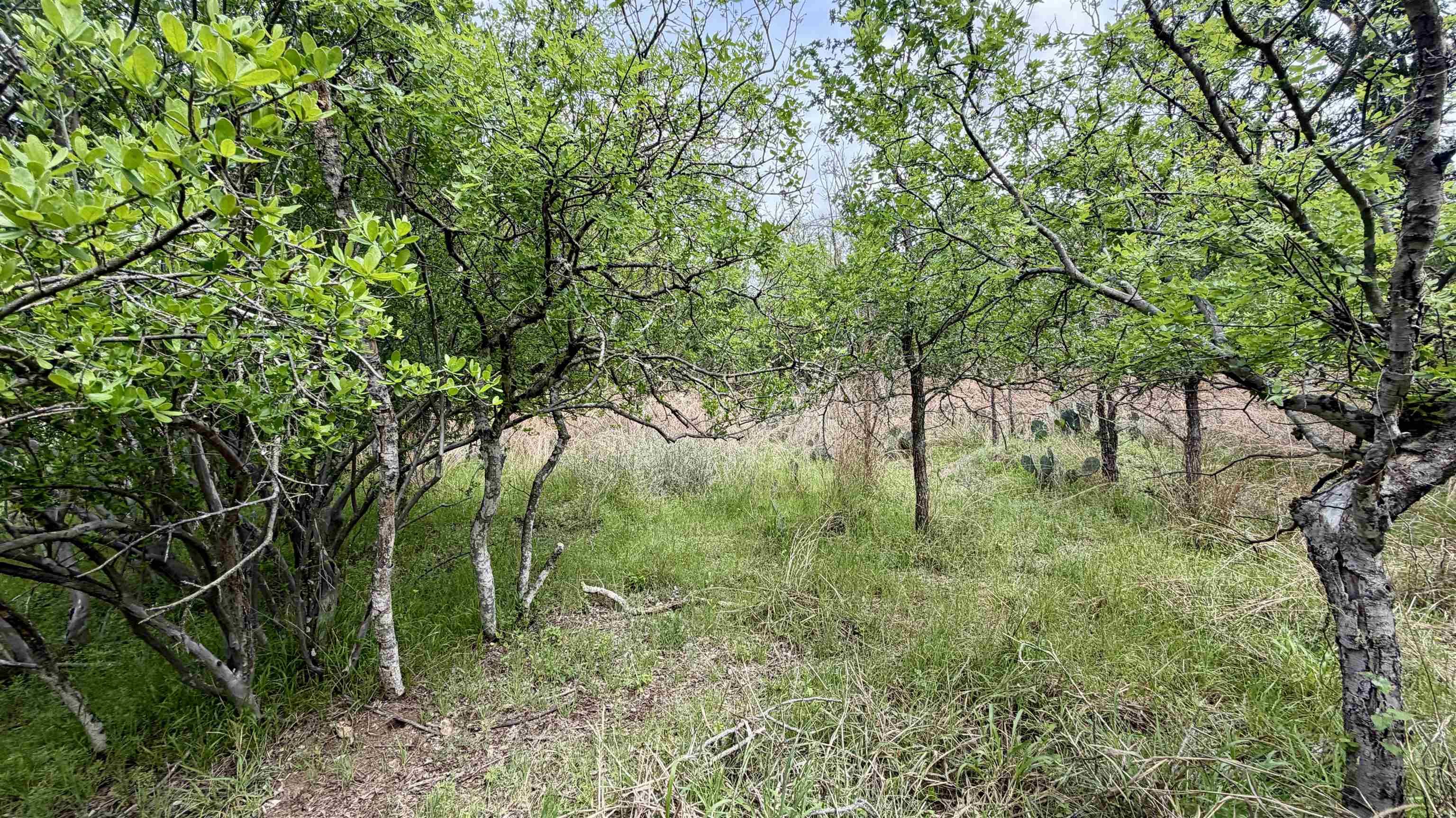 Lot 119-118 Ridgemont Kingsland, TX 78639 - Photo 18 of 29 a big yard with lots of green space