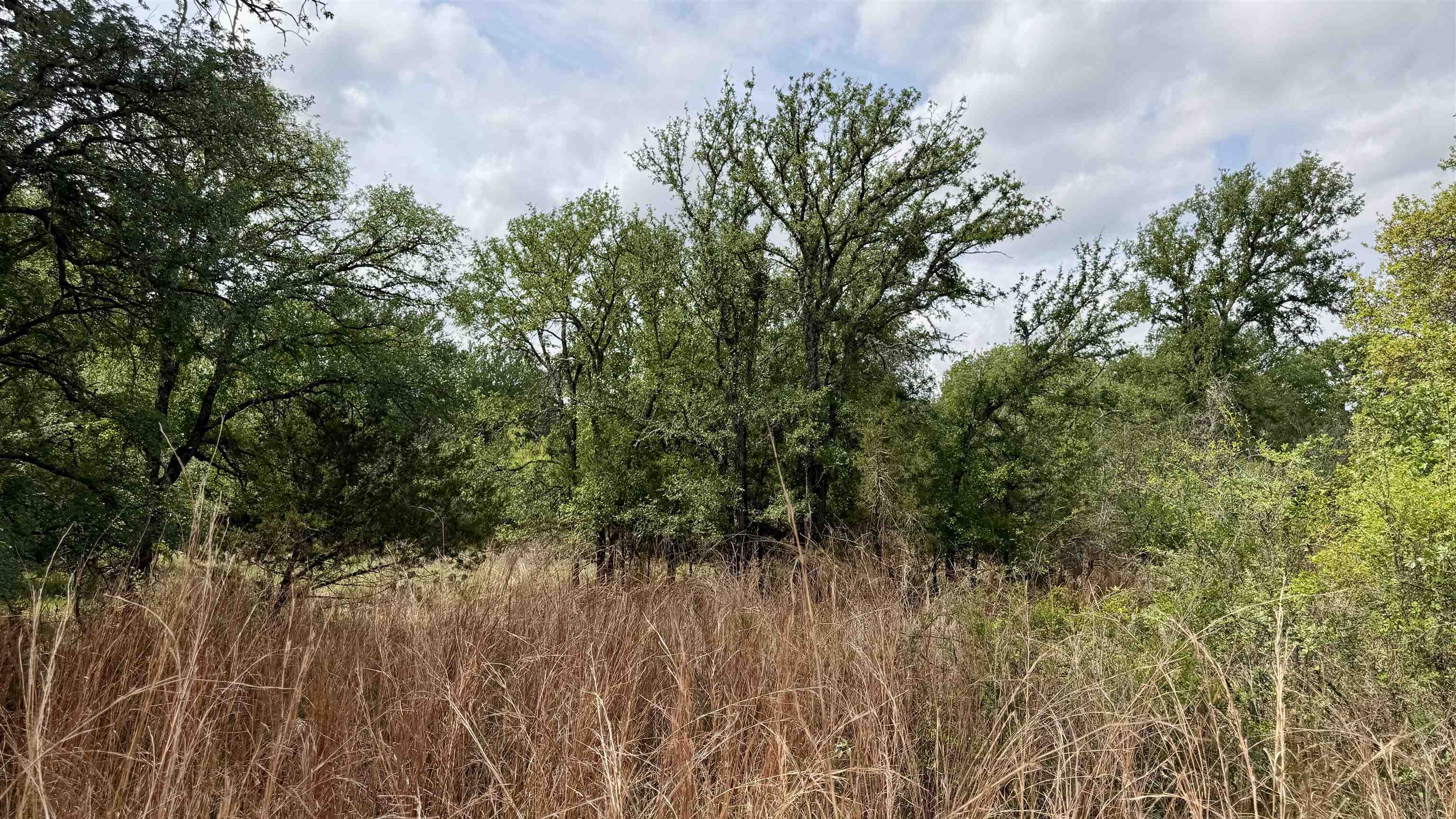 Lot 119-118 Ridgemont Kingsland, TX 78639 - Photo 2 of 29 a view of a yard