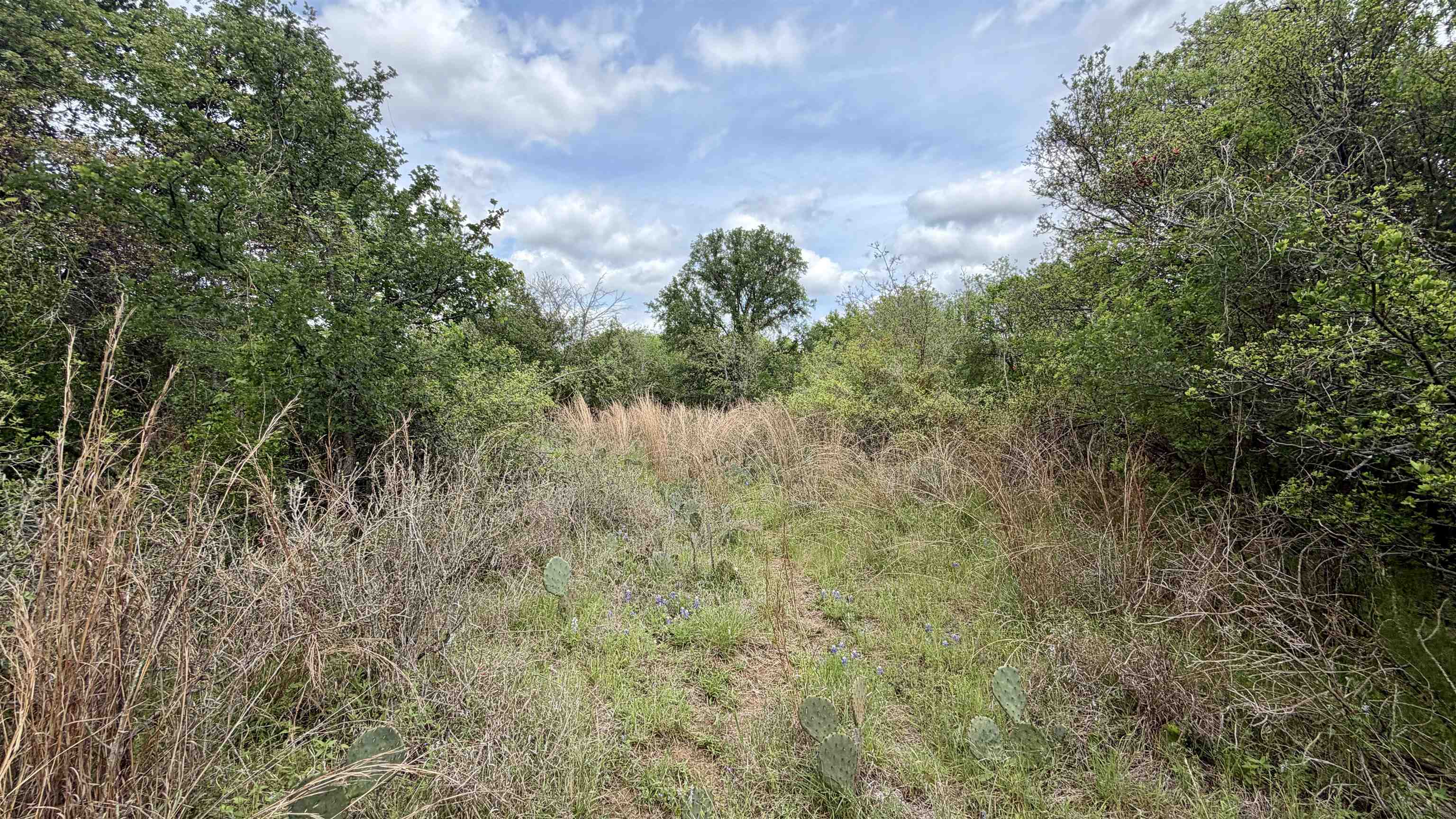 Lot 119-118 Ridgemont Kingsland, TX 78639 - Photo 23 of 29 a view of a garden
