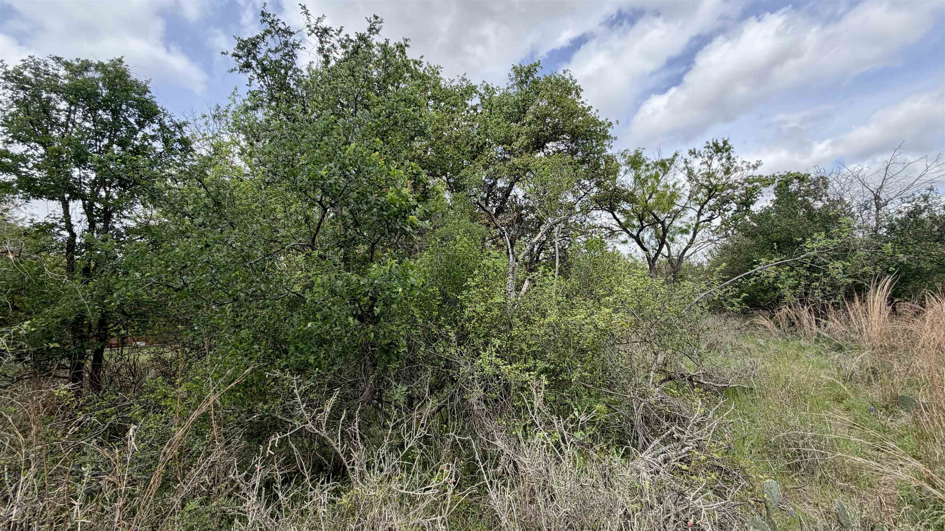 Lot 119-118 Ridgemont Kingsland, TX 78639 - Photo 24 of 29 view of a field of grass and trees