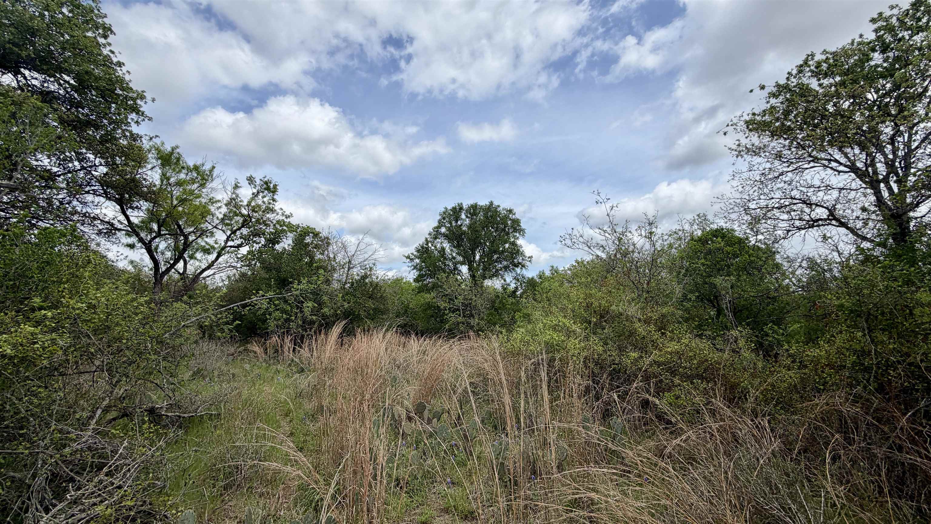 Lot 119-118 Ridgemont Kingsland, TX 78639 - Photo 25 of 29 a view of a lake with lots of trees