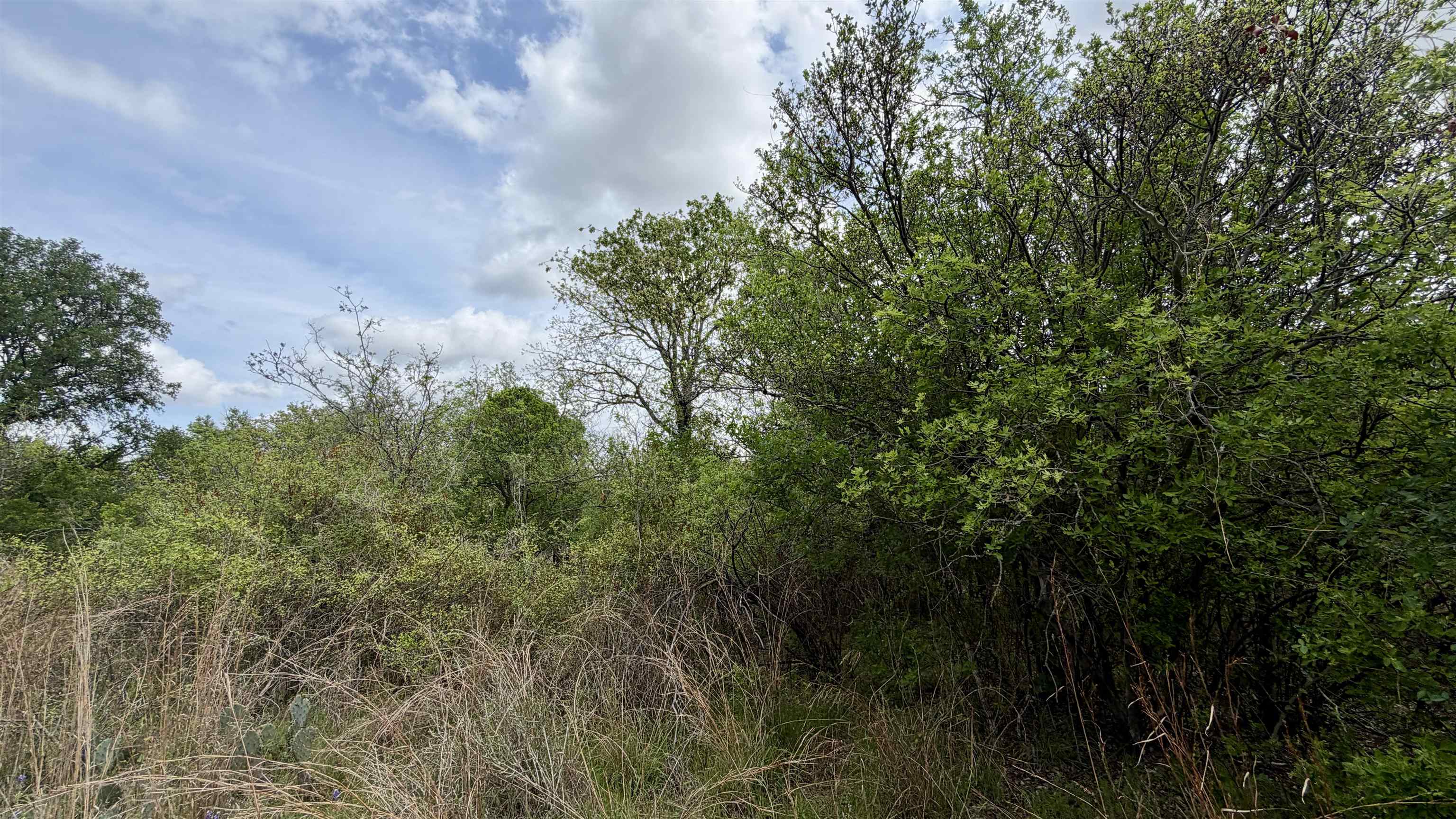 Lot 119-118 Ridgemont Kingsland, TX 78639 - Photo 26 of 29 a view of a yard