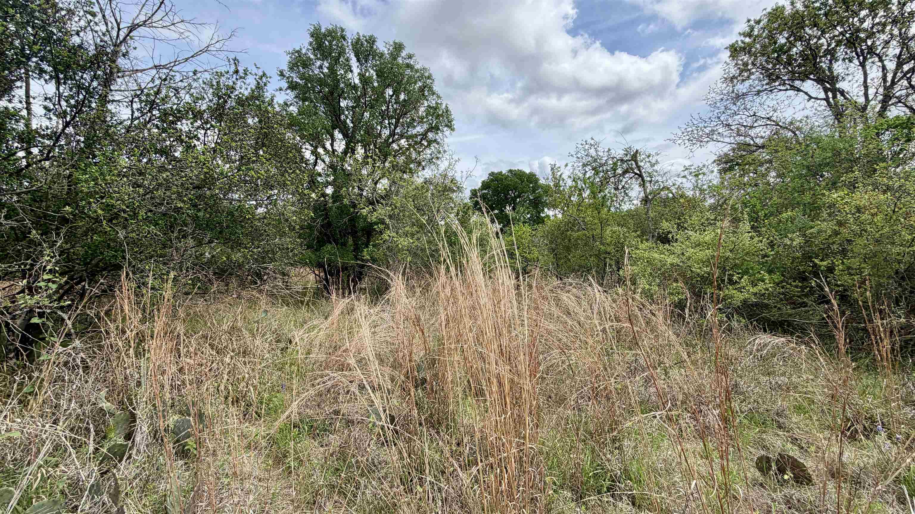 Lot 119-118 Ridgemont Kingsland, TX 78639 - Photo 27 of 29 a view of a yard