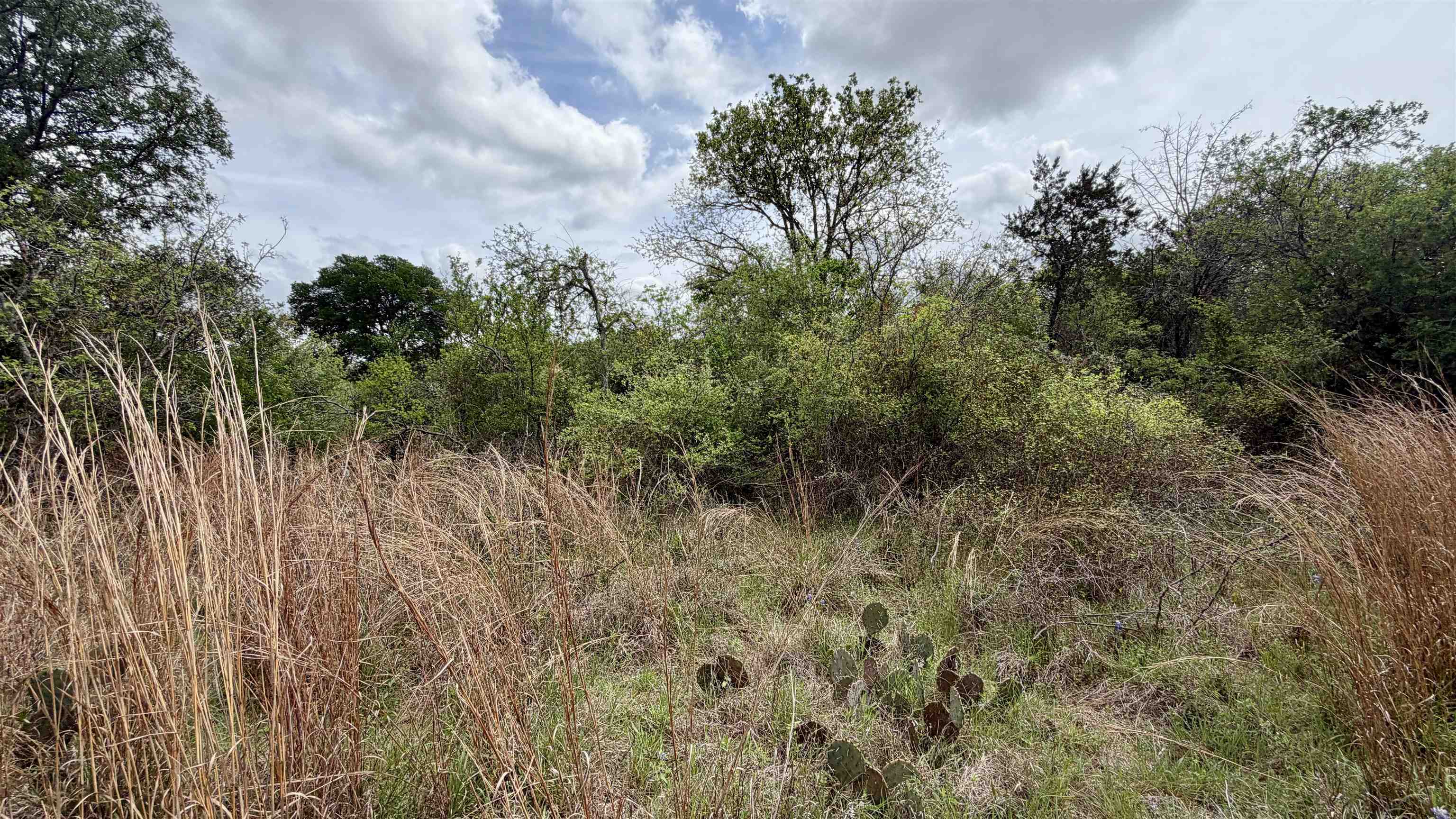 Lot 119-118 Ridgemont Kingsland, TX 78639 - Photo 28 of 29 a view of a yard