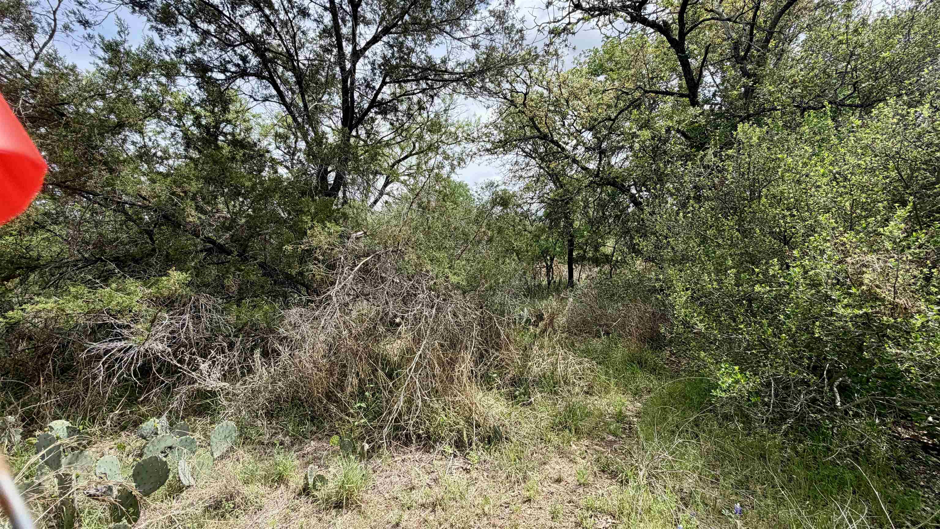 Lot 119-118 Ridgemont Kingsland, TX 78639 - Photo 3 of 29 a view of a forest with lots of trees