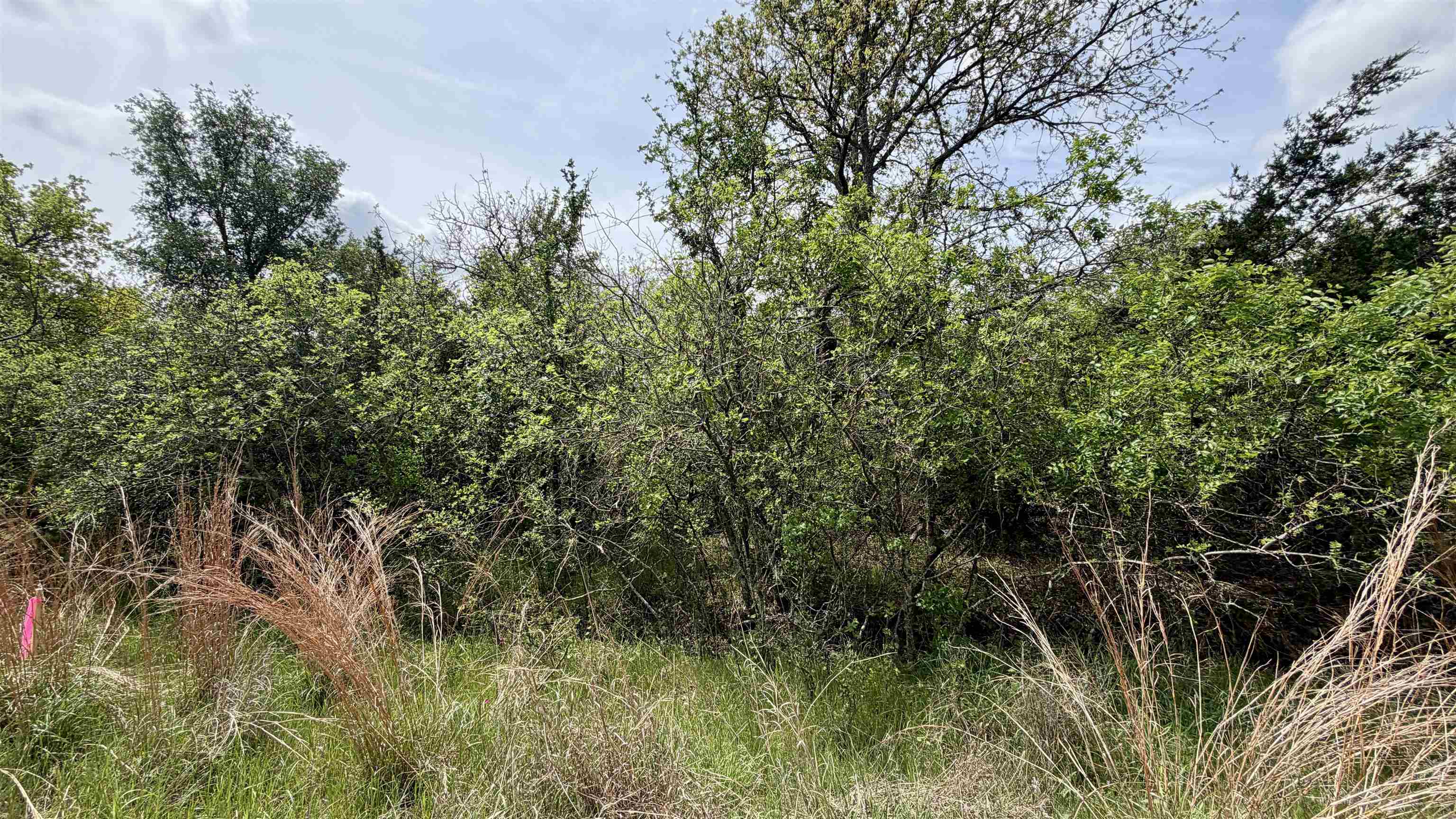 Lot 119-118 Ridgemont Kingsland, TX 78639 - Photo 4 of 29 a view of a lush green forest