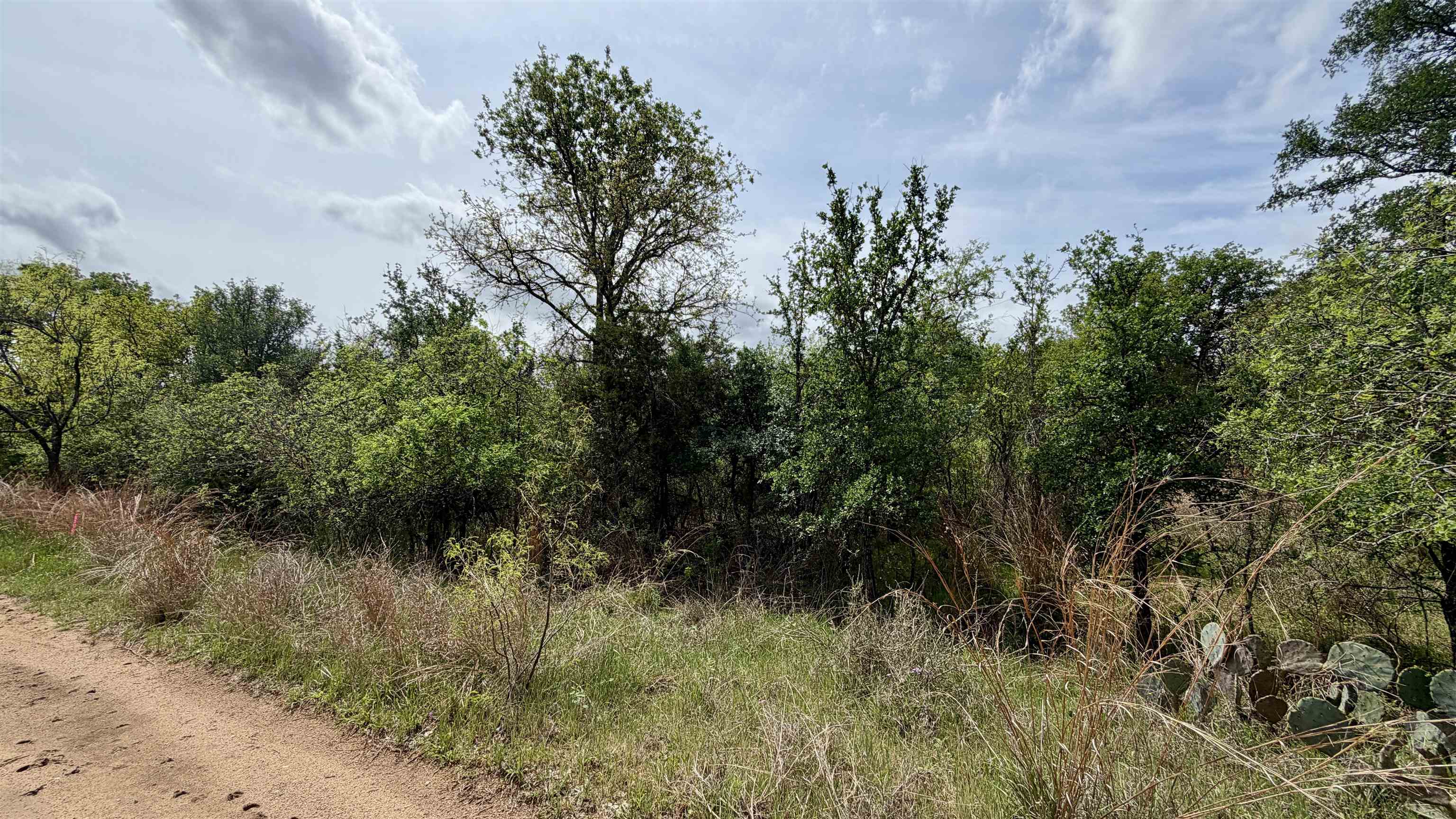Lot 119-118 Ridgemont Kingsland, TX 78639 - Photo 5 of 29 a view of a lush green forest with lots of trees