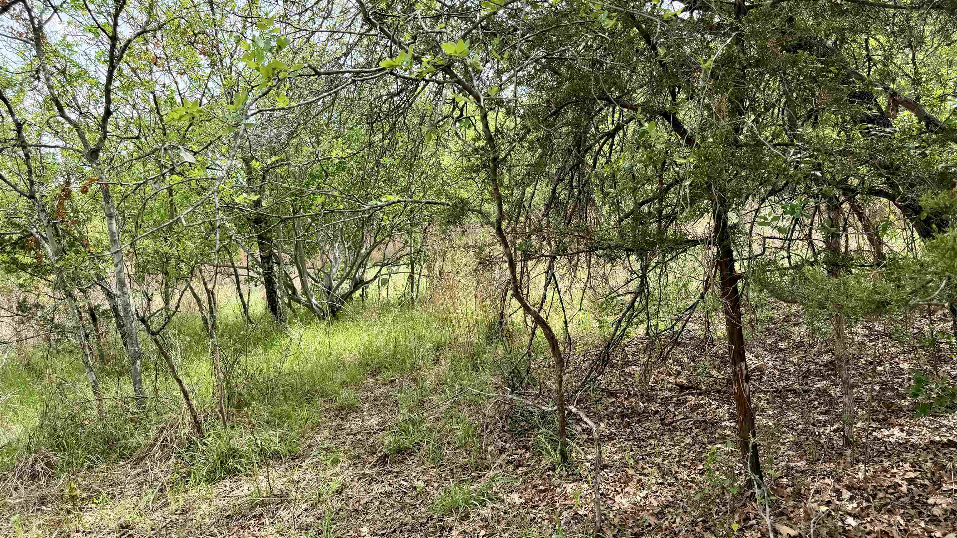 Lot 119-118 Ridgemont Kingsland, TX 78639 - Photo 7 of 29 a view of a yard