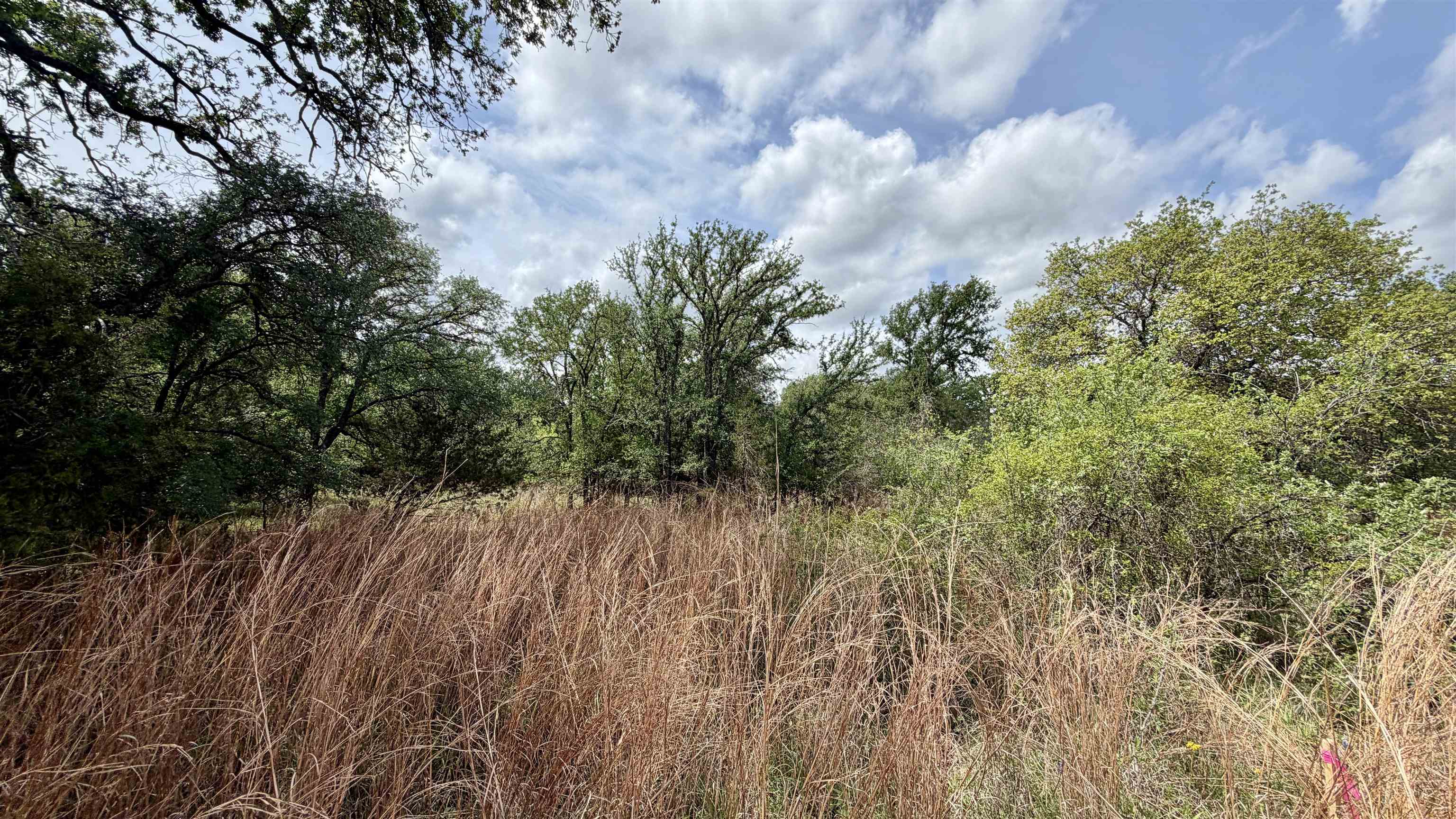 Lot 119-118 Ridgemont Kingsland, TX 78639 - Photo 8 of 29 a view of a yard