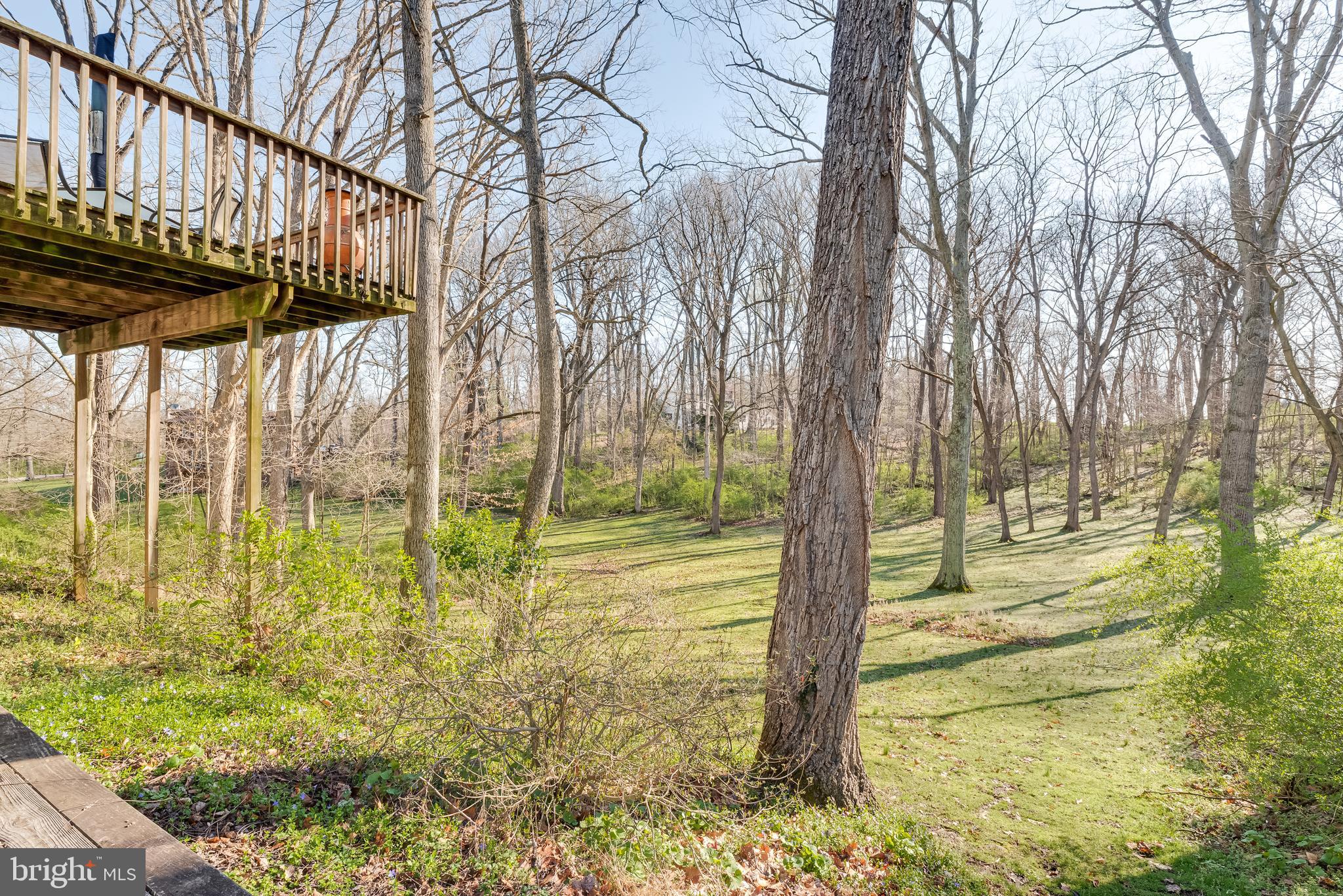 1168 Morgan Grove Road Shepherdstown, WV 25443 - Photo 50 of 66 Gallery Image 50