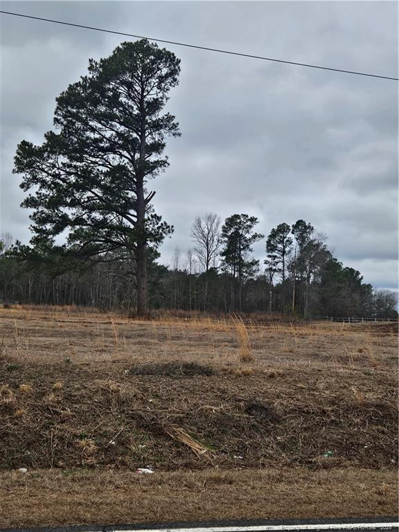 3 Odum Road Lumberton, NC 28360 - Photo 2 of 3 Photo 2