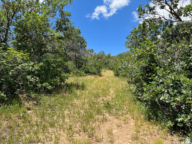 St, Unit 41 Springville, UT 84663 - Photo 9 of 12 View of undeveloped land