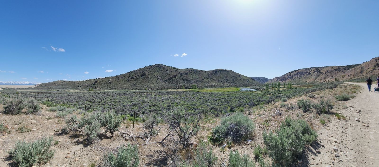 1019 Meadow View Drive Spring Creek, NV 89815 - Photo 43 of 48