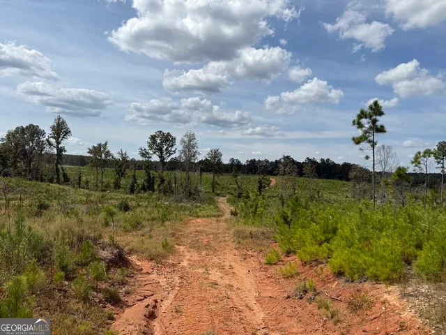 $228,475 | 2398 Myricks Mill Road, Jeffersonville, GA 31044