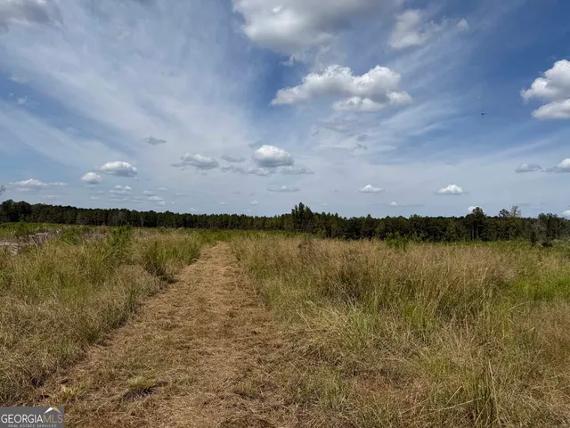 $228,475 | 2398 Myricks Mill Road, Jeffersonville, GA 31044