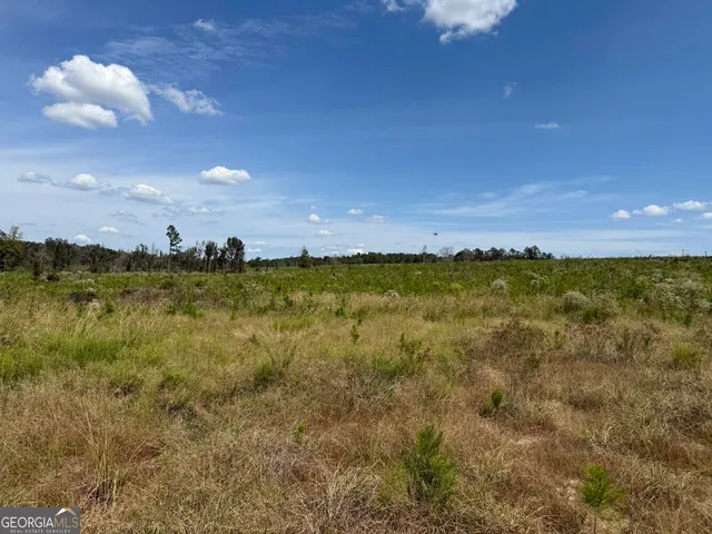 $228,475 | 2398 Myricks Mill Road, Jeffersonville, GA 31044