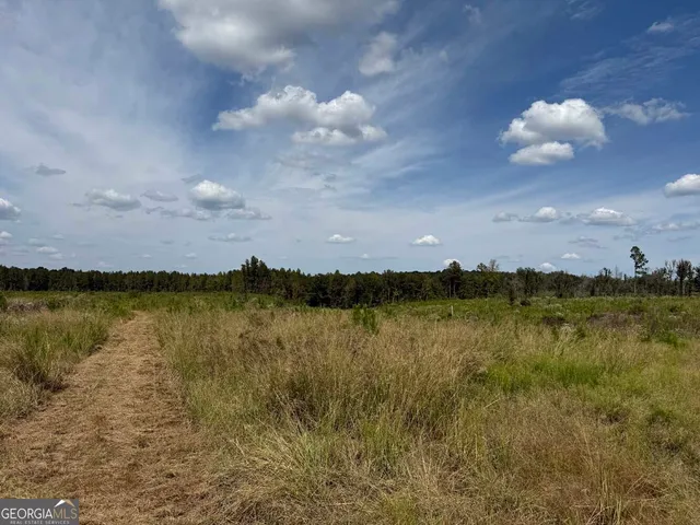 $228,475 | 2398 Myricks Mill Road, Jeffersonville, GA 31044