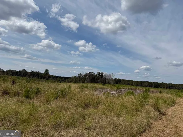 $228,475 | 2398 Myricks Mill Road, Jeffersonville, GA 31044