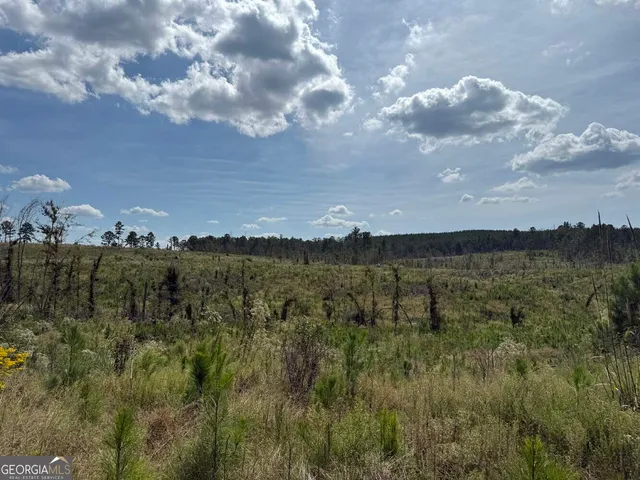 $228,475 | 2398 Myricks Mill Road, Jeffersonville, GA 31044