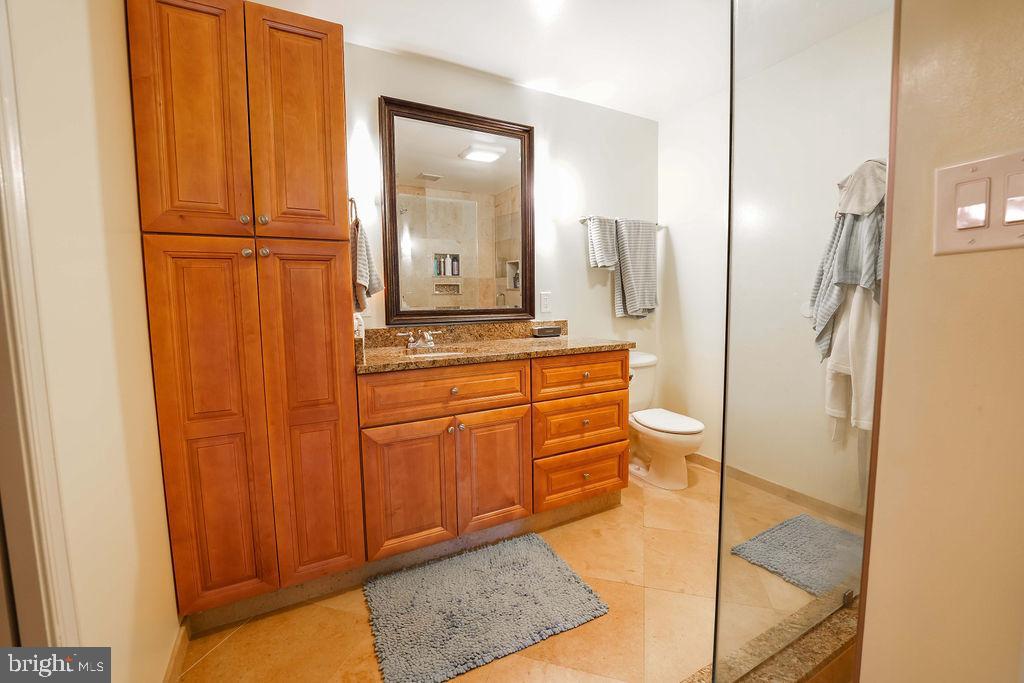 8292 Lindside Way Springfield, VA 22153 - Photo 27 of 51 lots of storage in the primary bathroom