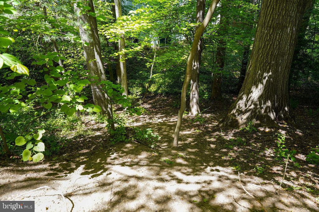8292 Lindside Way Springfield, VA 22153 - Photo 46 of 51 private treed backyard