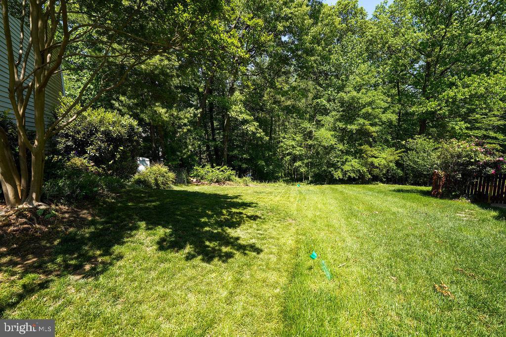 8292 Lindside Way Springfield, VA 22153 - Photo 47 of 51 large open side yard