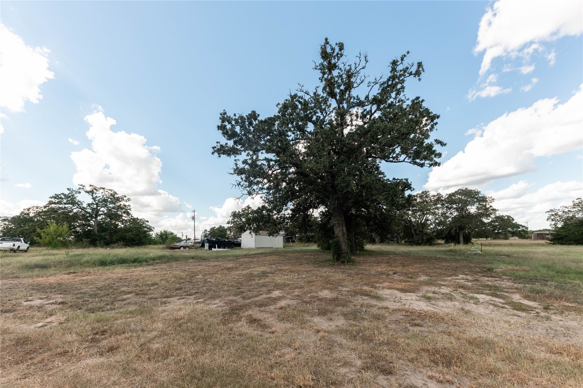 113 Hannah Road, Unit A Smithville, TX 78957 - Photo 6 of 11 a view of backyard with outdoor space