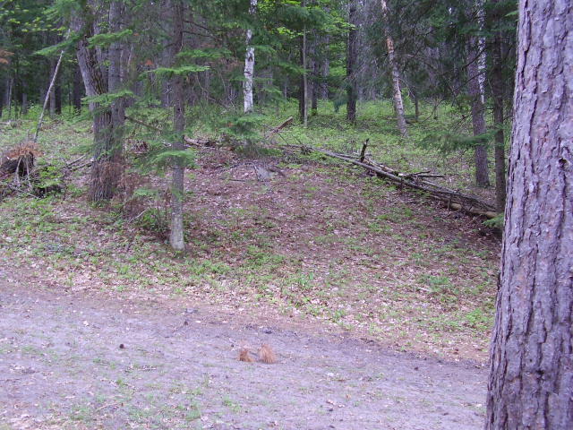 1510 Pierce Road Luzerne, MI 48636 - Photo 30 of 40 Gallery Image 30