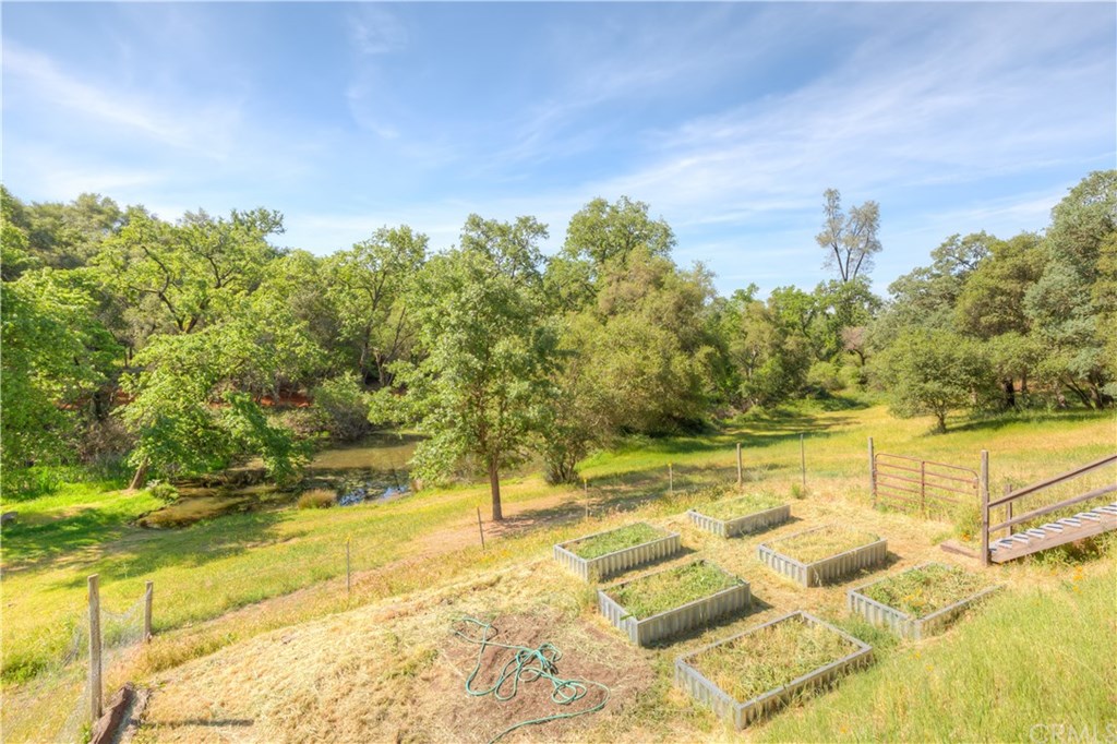 195 Windfall Way Oroville, CA 95966 - Photo 16 of 35