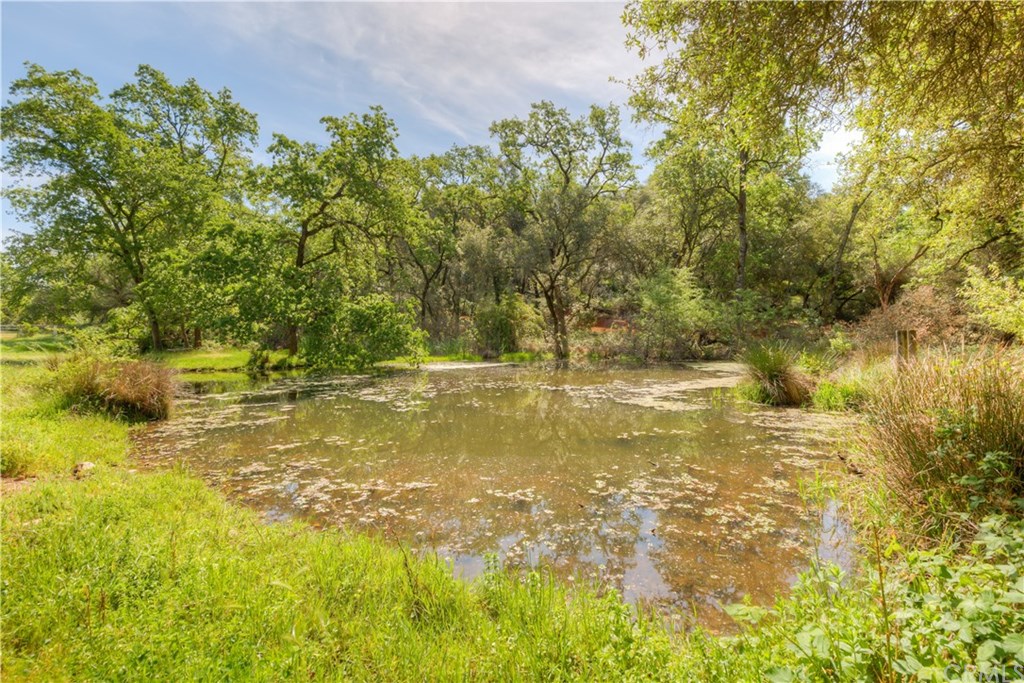 195 Windfall Way Oroville, CA 95966 - Photo 27 of 35