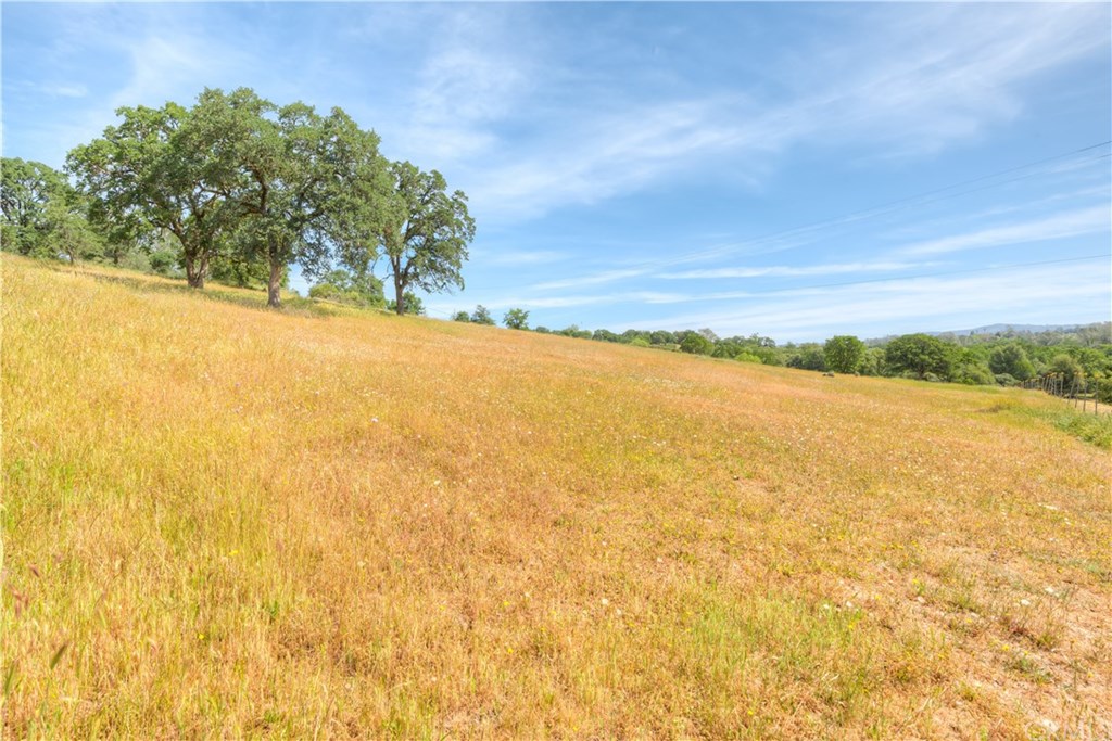 195 Windfall Way Oroville, CA 95966 - Photo 31 of 35