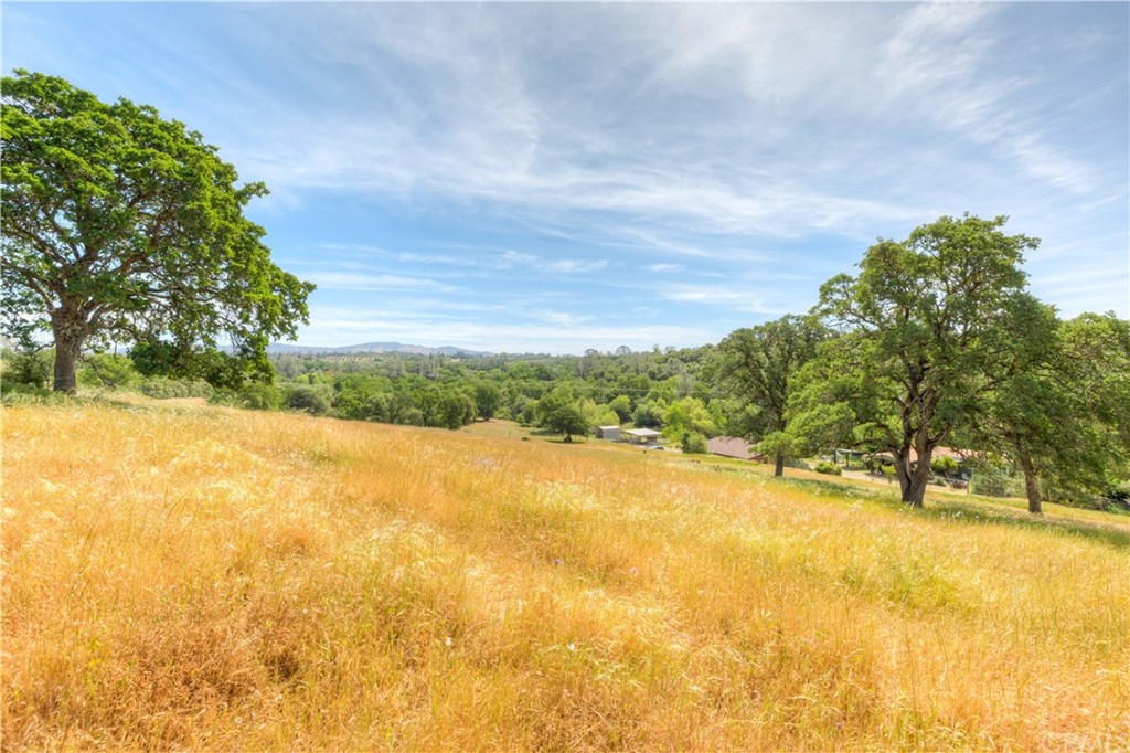 195 Windfall Way Oroville, CA 95966 - Photo 32 of 35