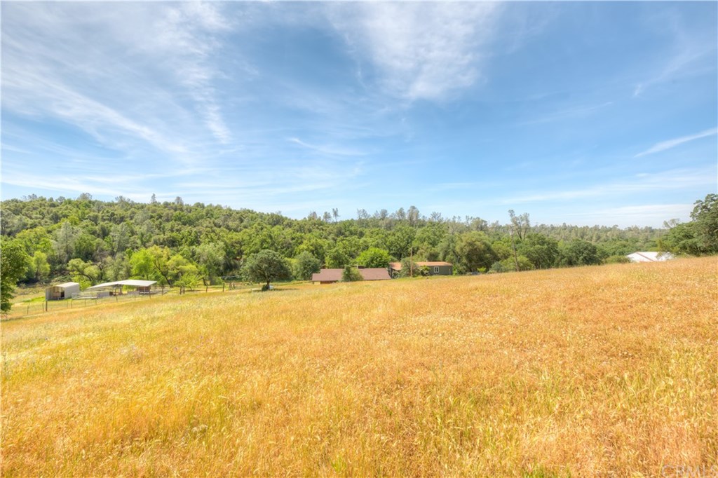 195 Windfall Way Oroville, CA 95966 - Photo 33 of 35