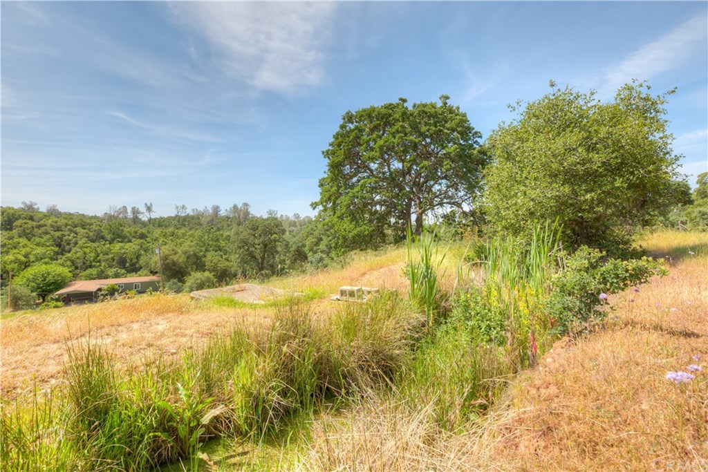 195 Windfall Way Oroville, CA 95966 - Photo 34 of 35