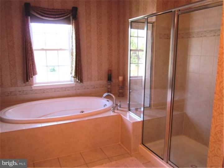 2 Hidden Brook Way Sinking Spring, PA 19608 - Photo 14 of 24 Master Bathroom